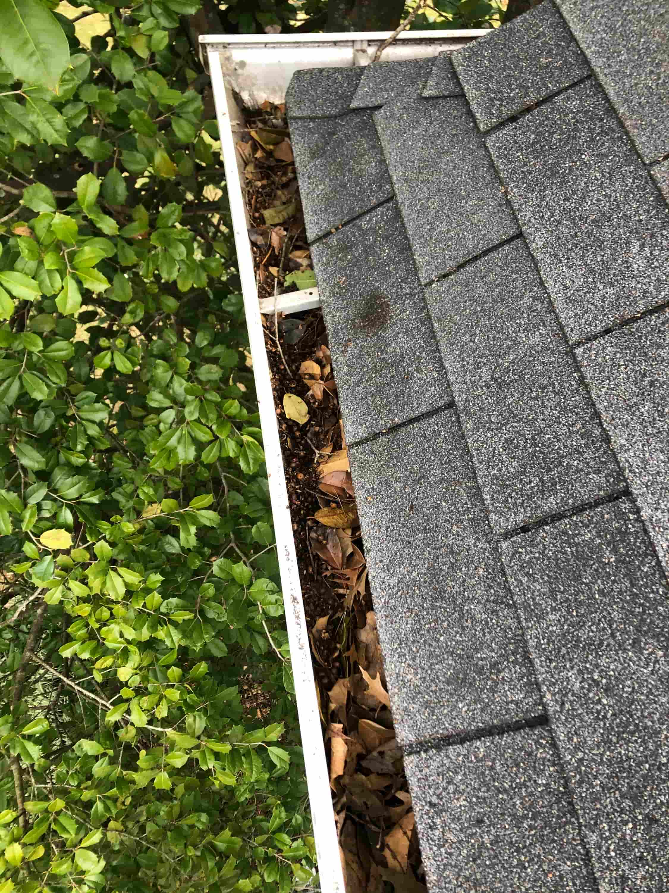 gutter cleaner company