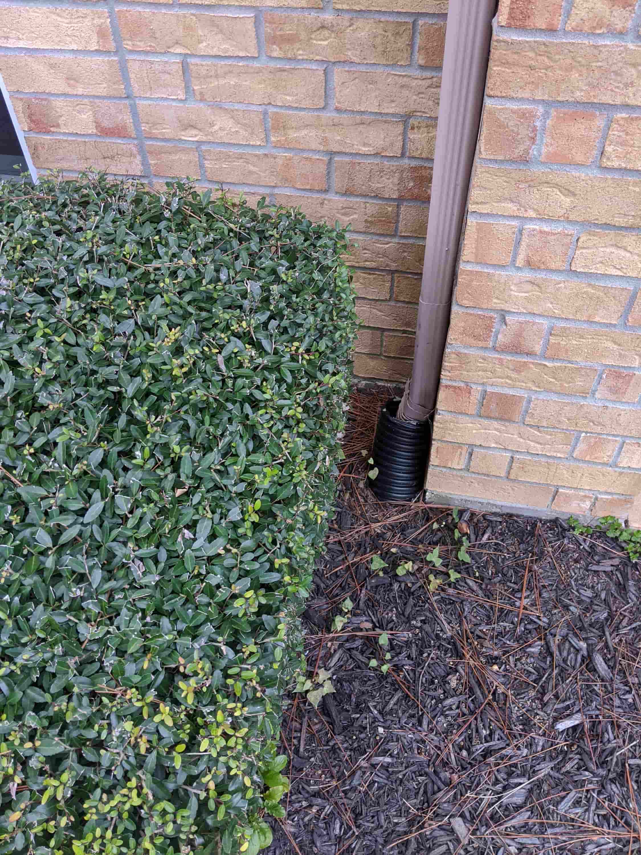 how to clean gutters yourself