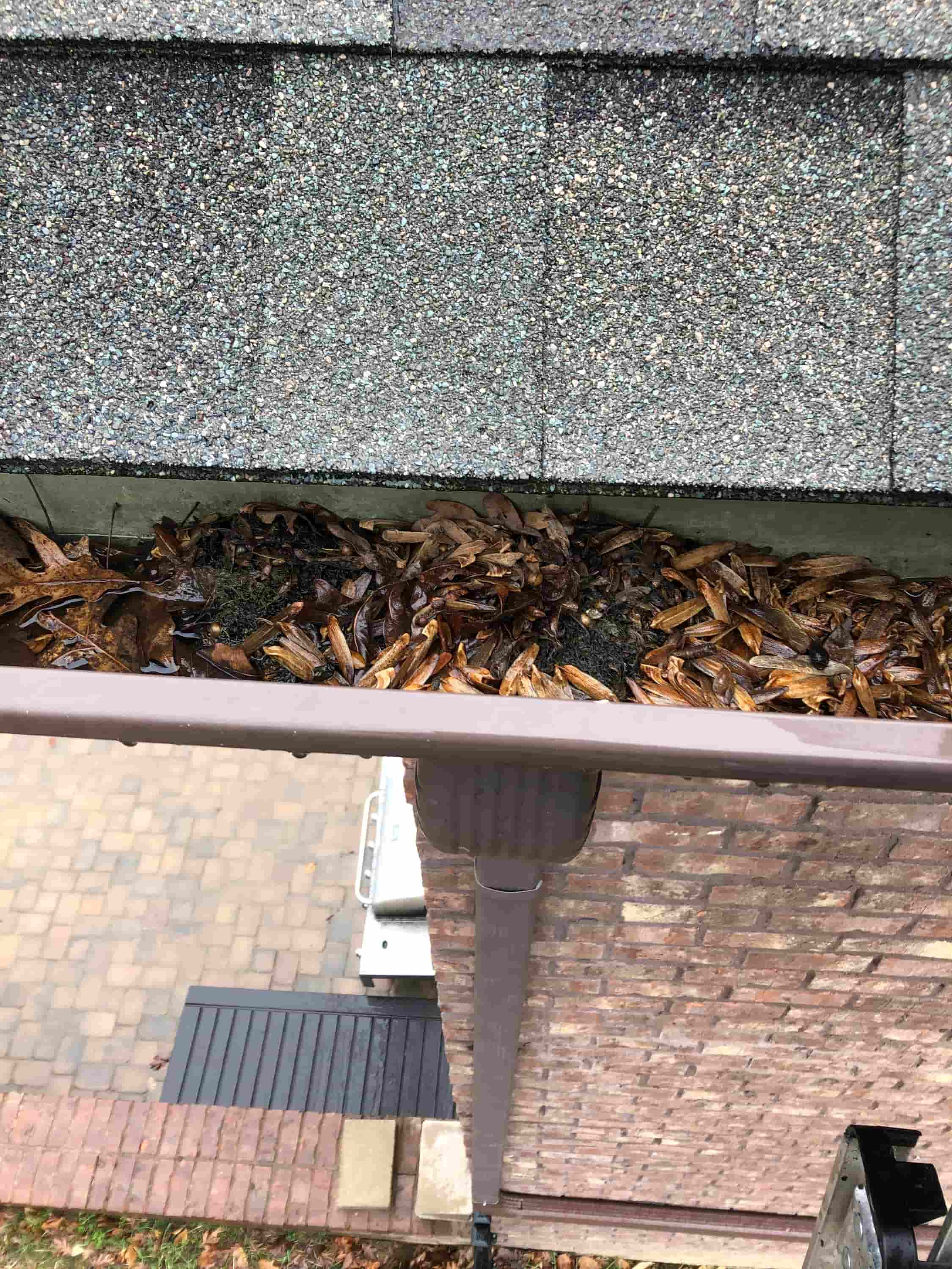 gutter and fascia cleaning