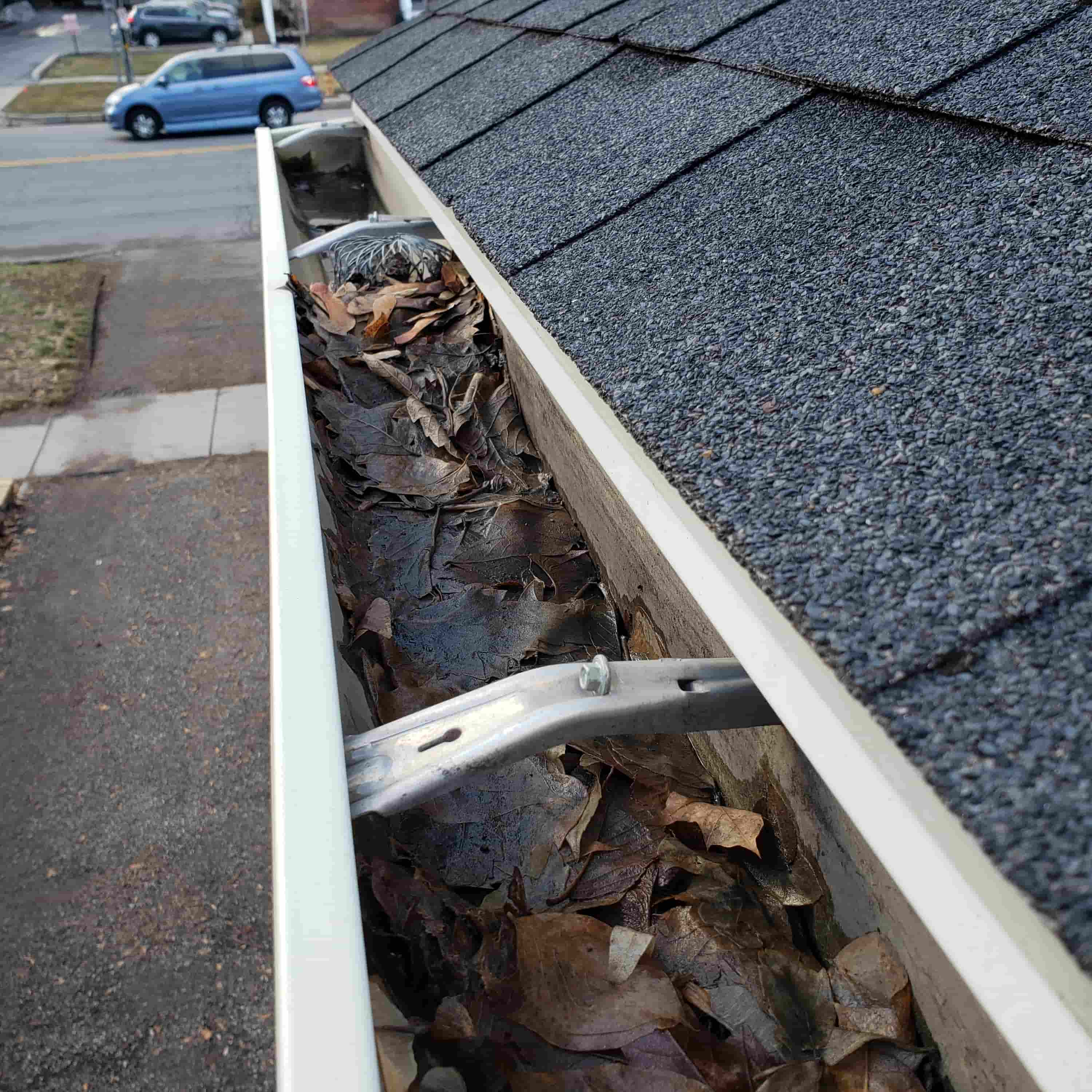 gutter cleaning florida