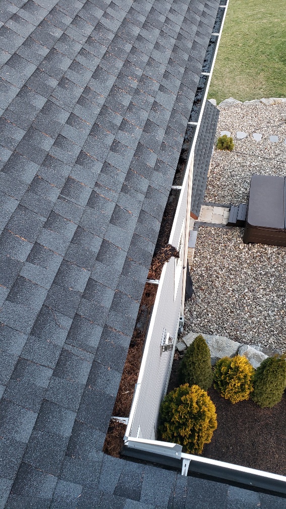 leaf gutter cleaner