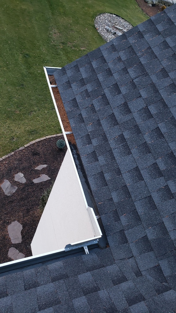 clean leaves from gutter