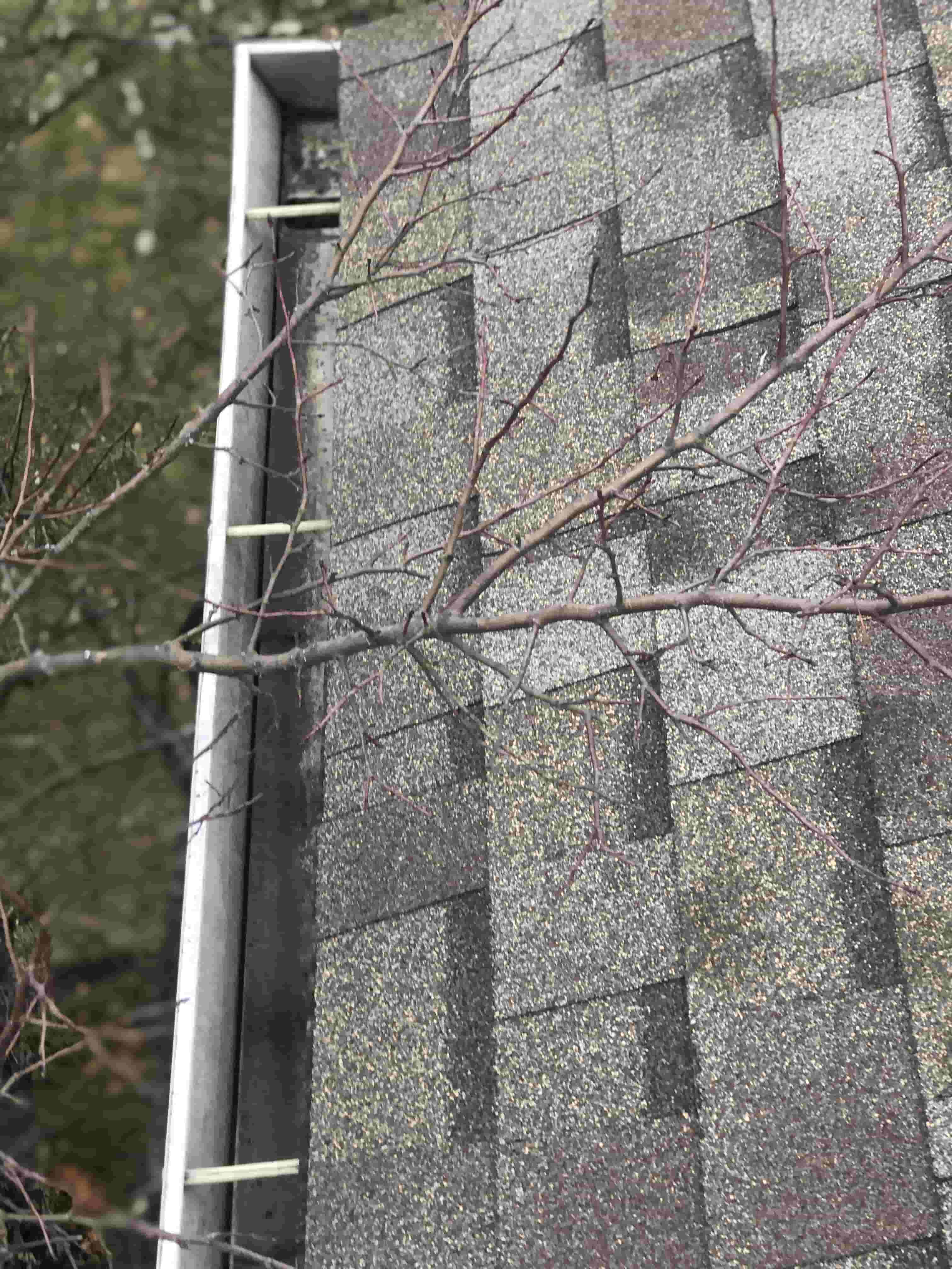 cleaning plastic guttering