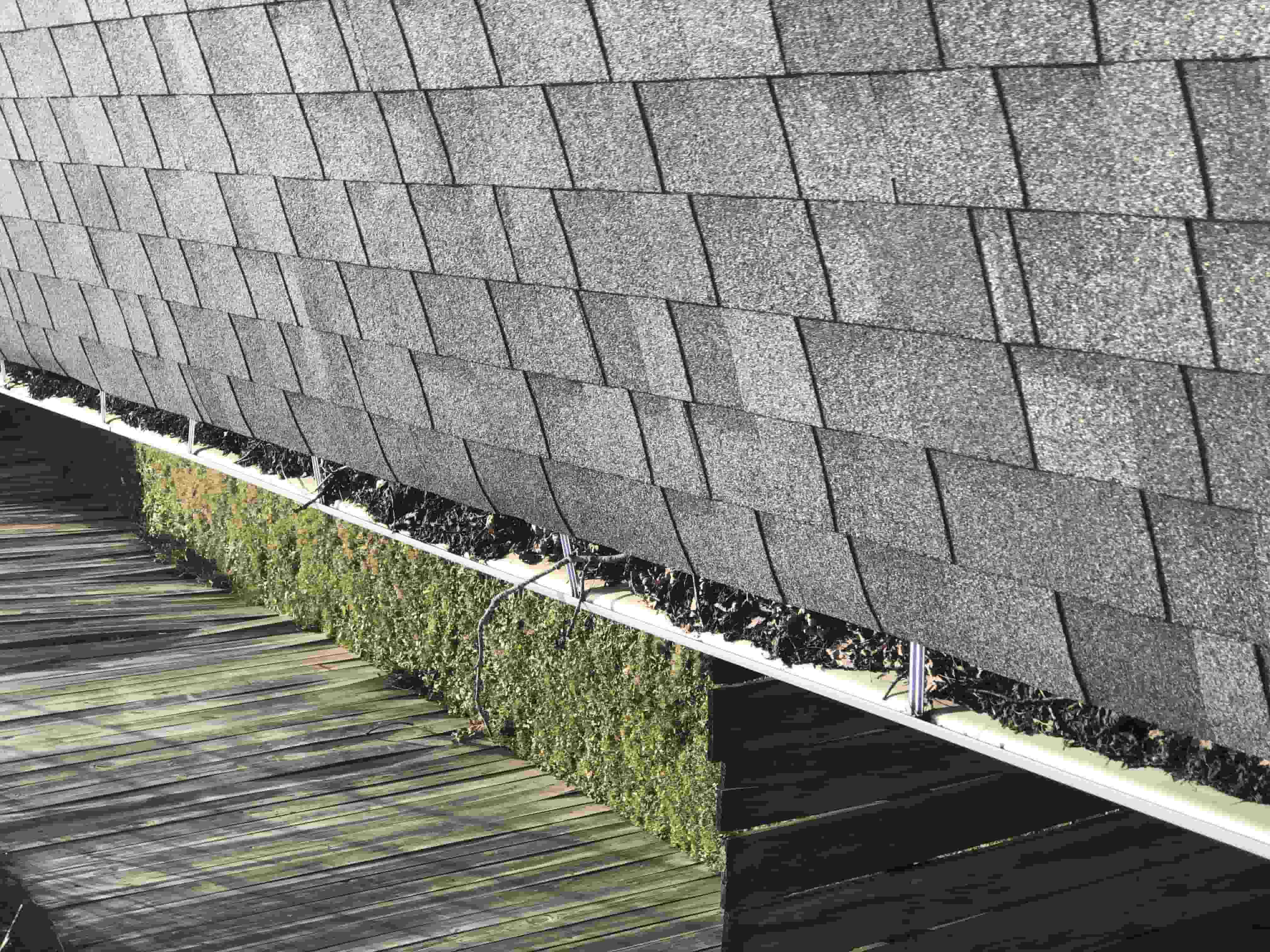 roof and gutter cleaning near me