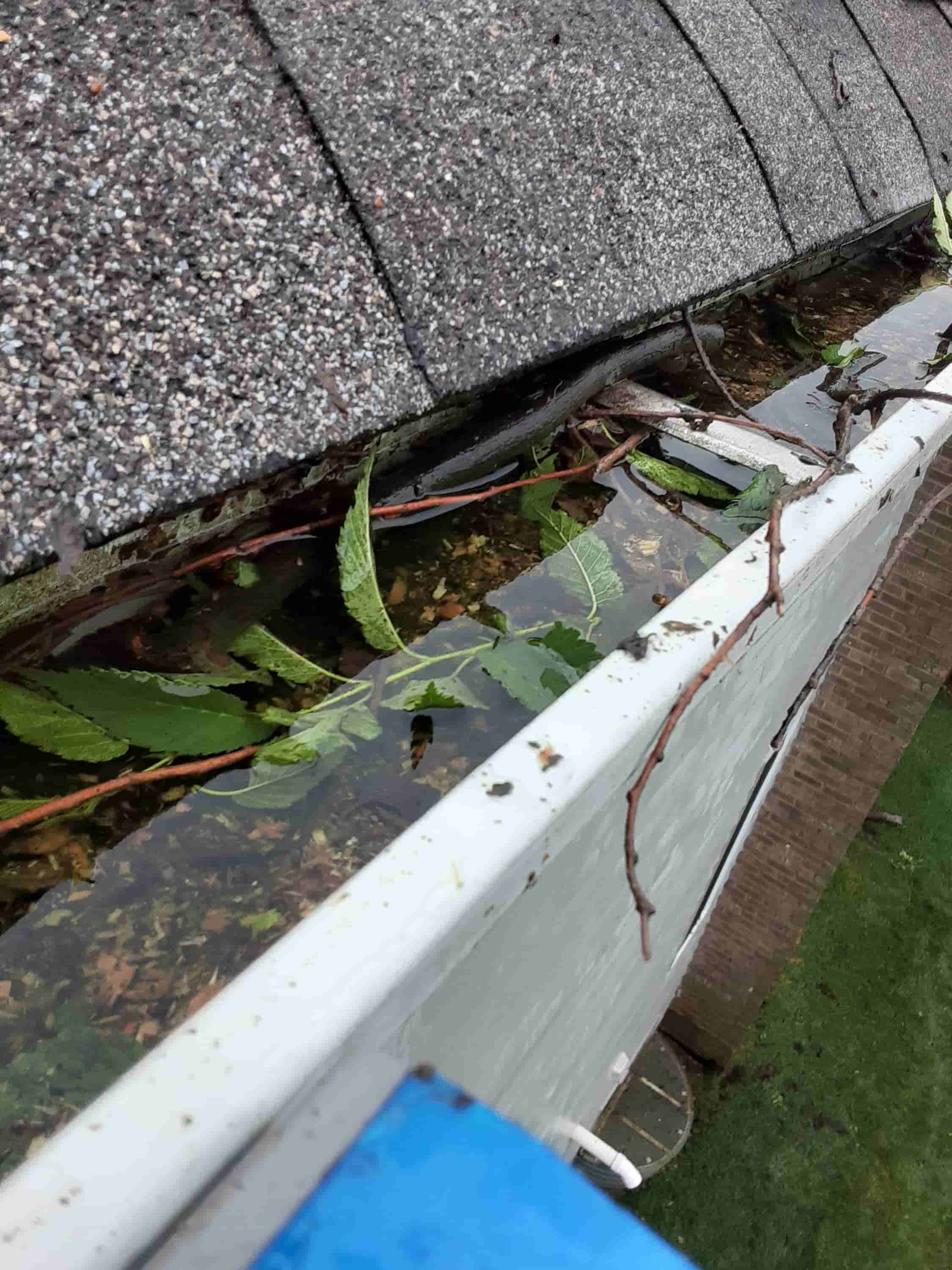 leaf gutter cleaning