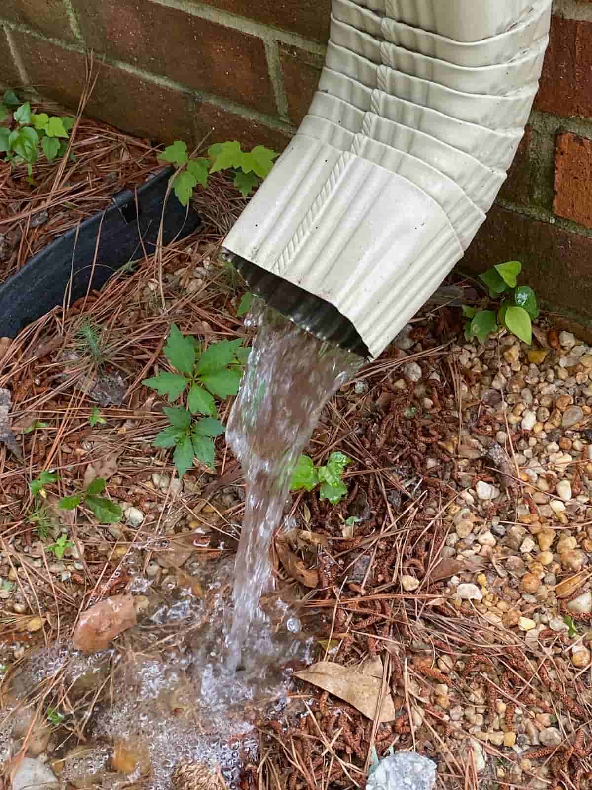 gutter cleaning from the ground