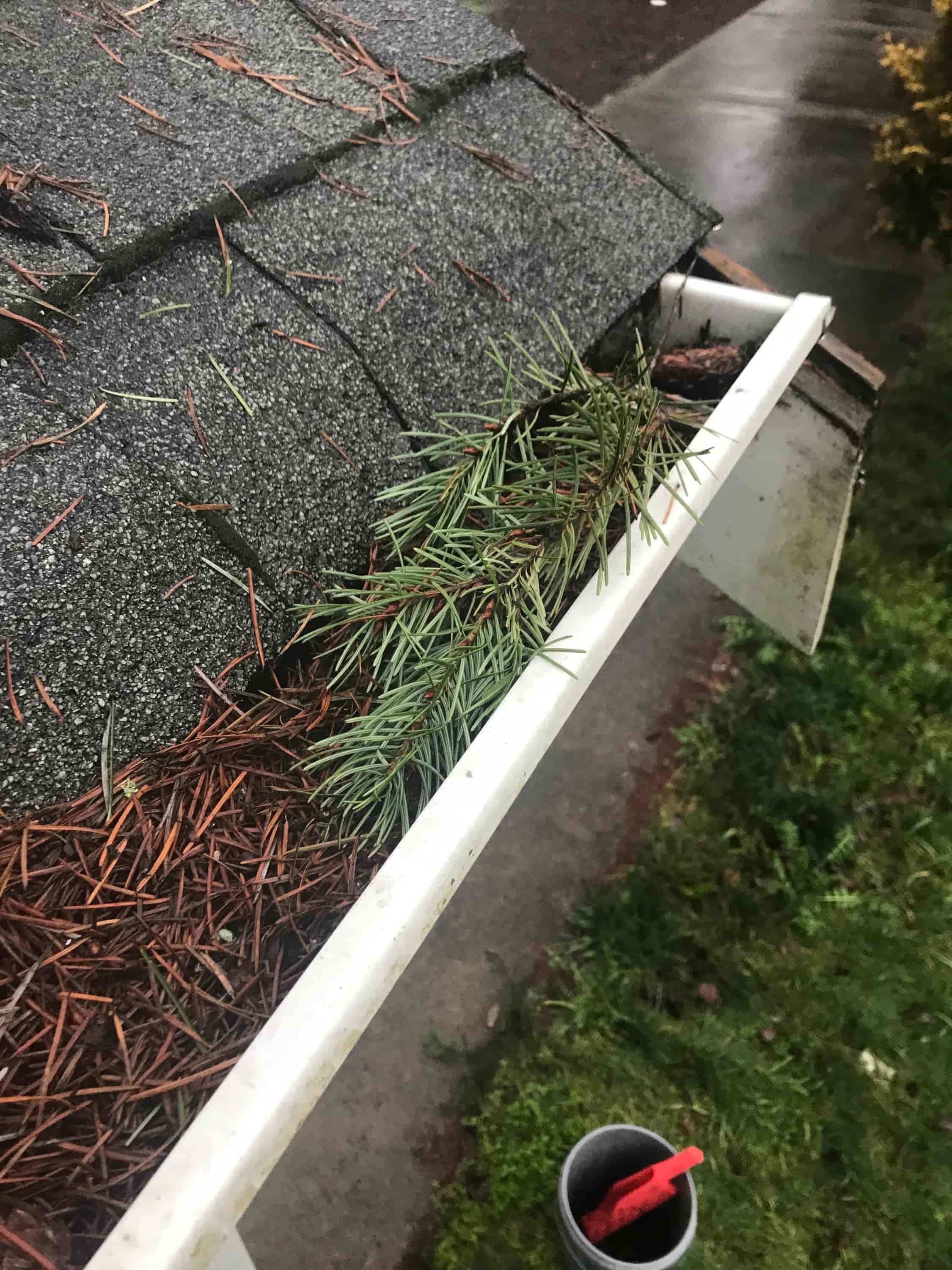 clean clogged gutter downspout