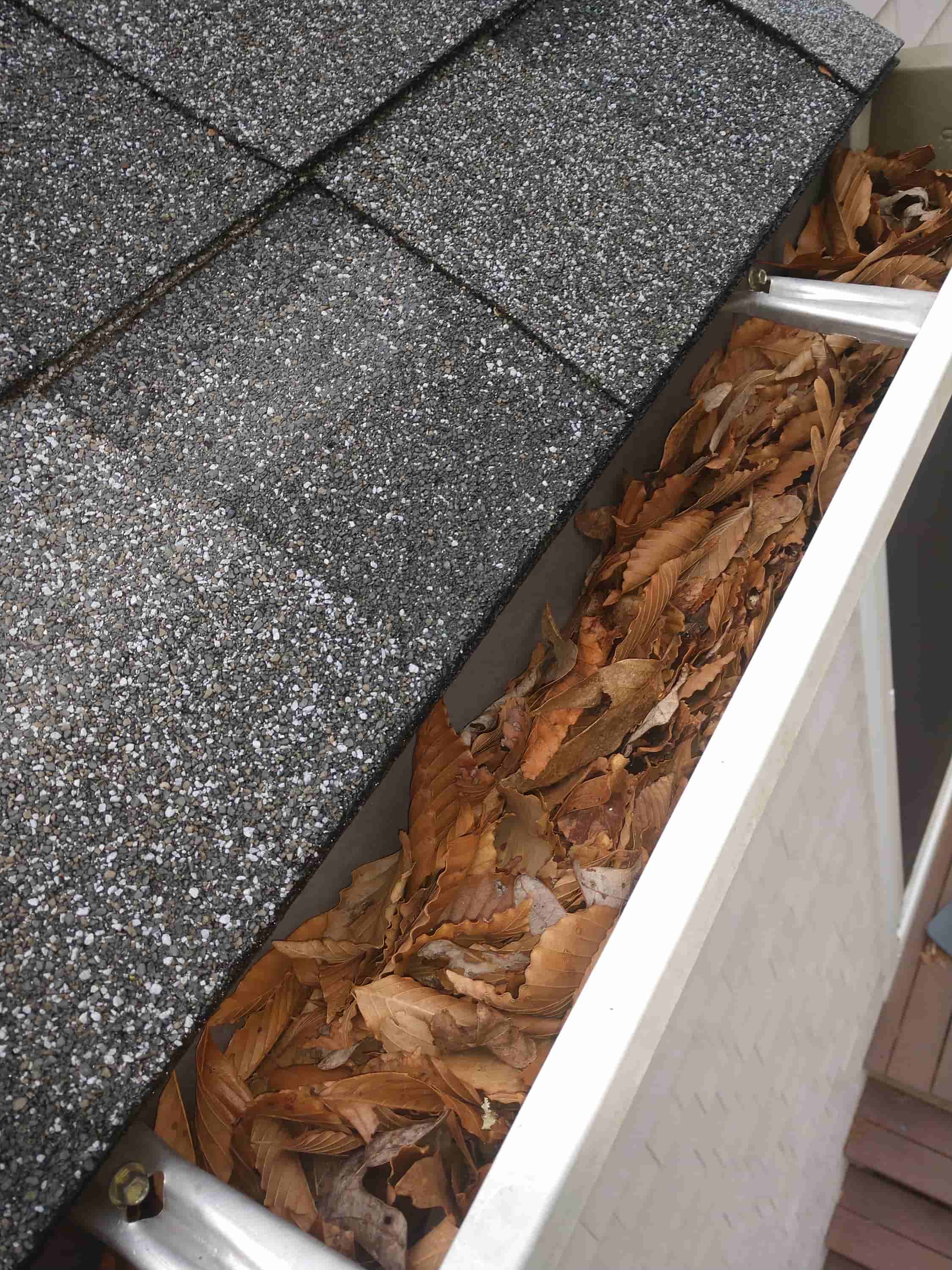 clean gutter services