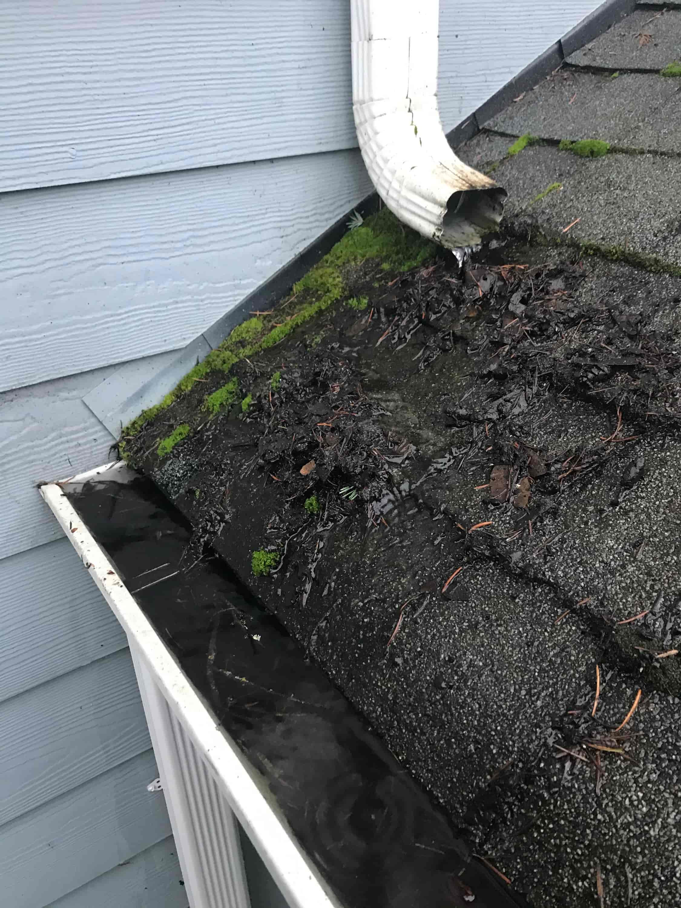 gutter cleaning tools for high roofs