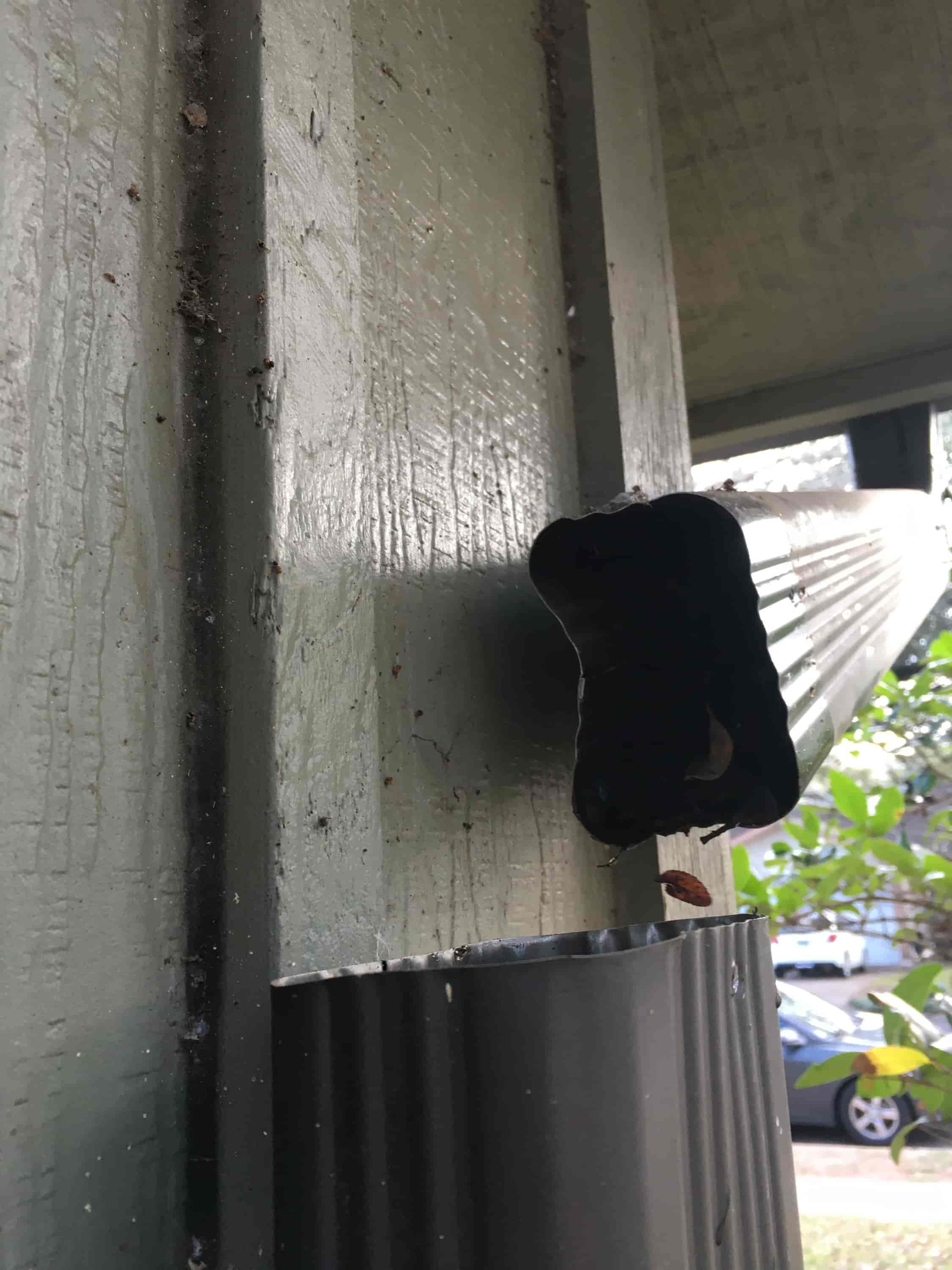 why clean out gutters