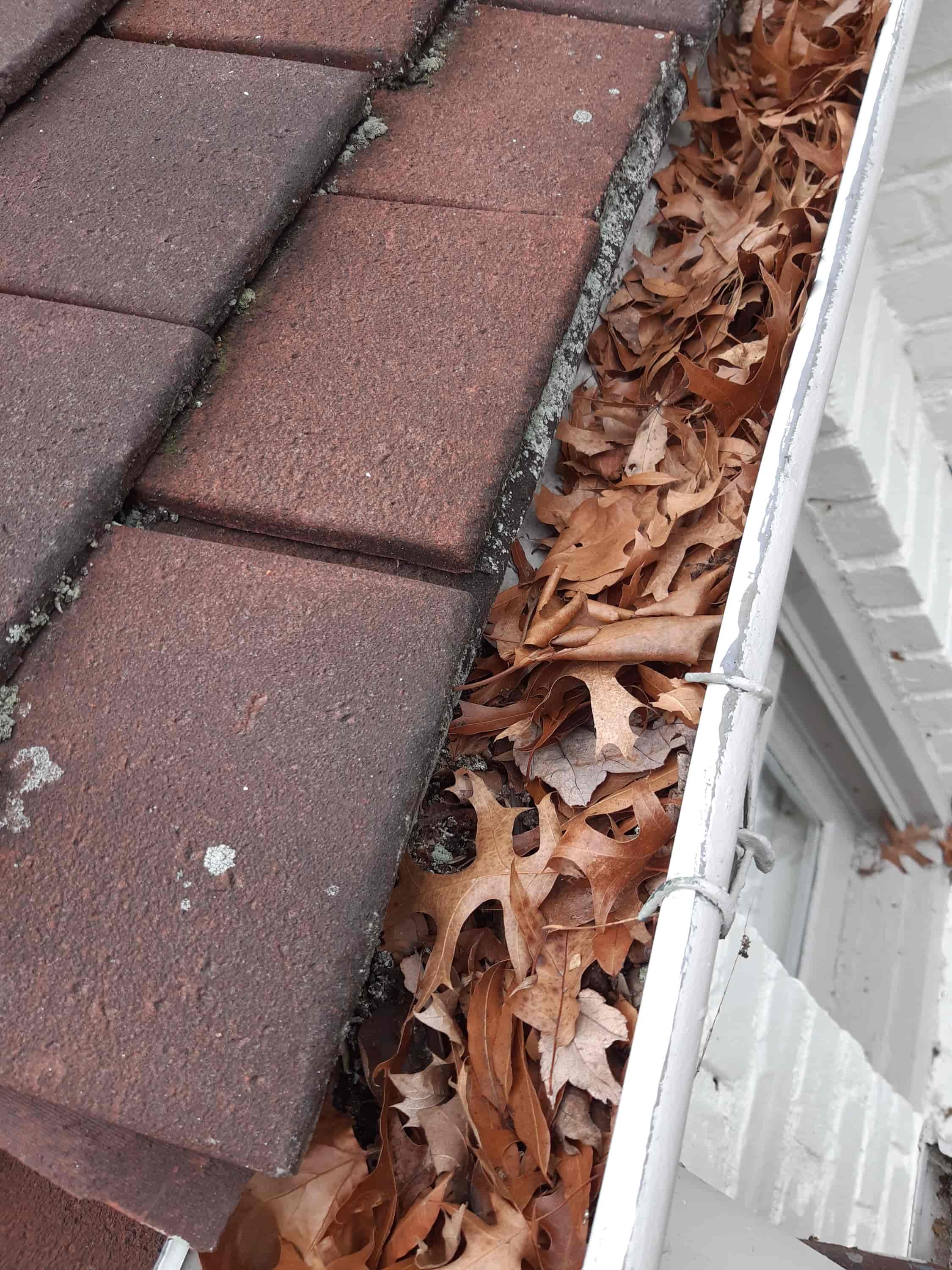 leaf blower clean gutters