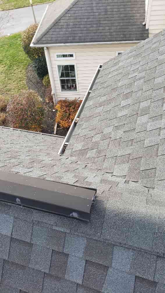 gutter and window cleaning