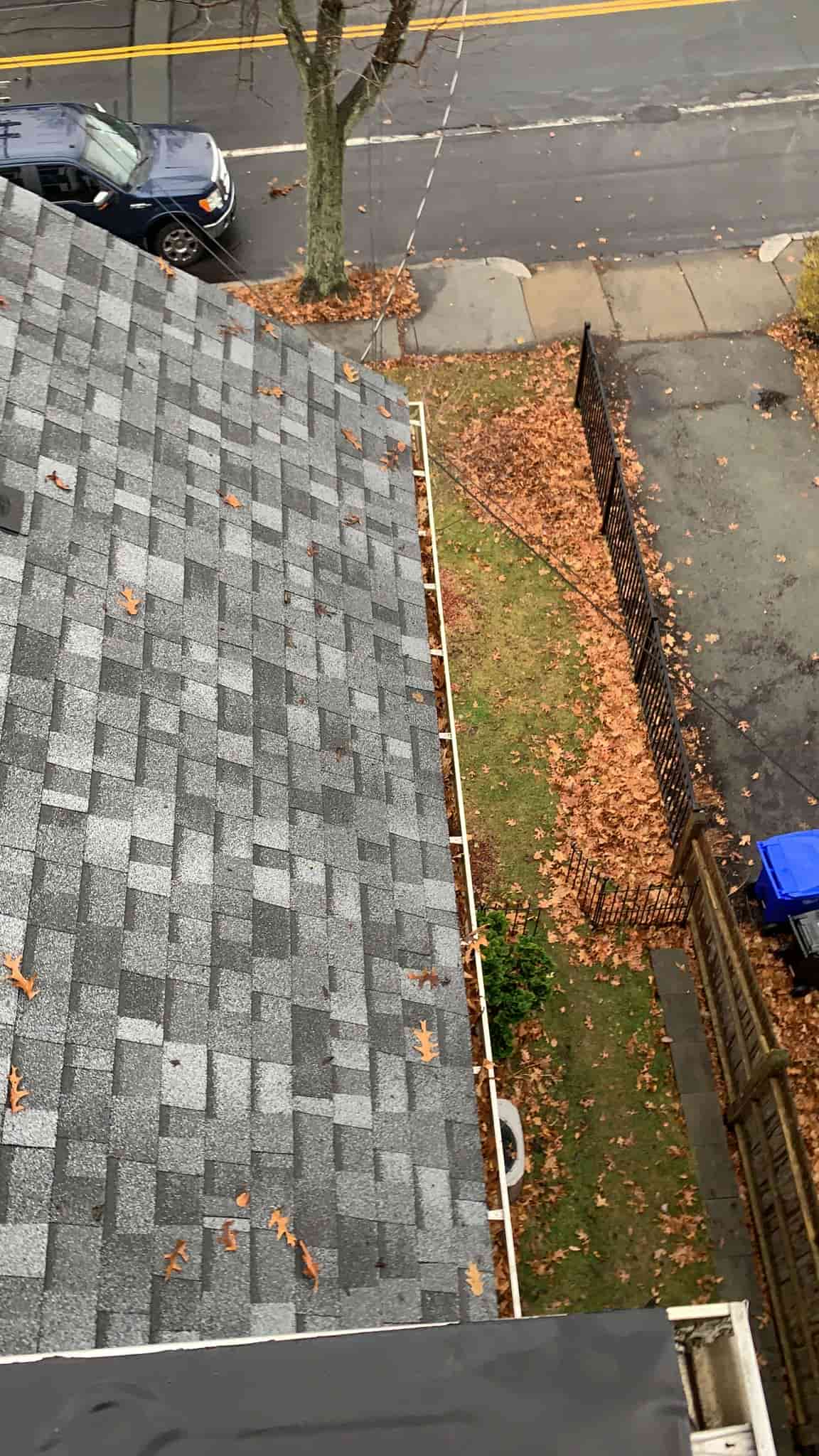 gutter cleaning services cost