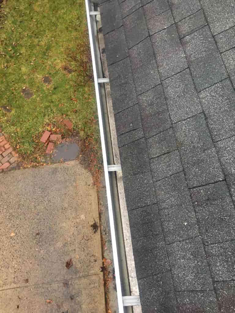gutter downspout snake