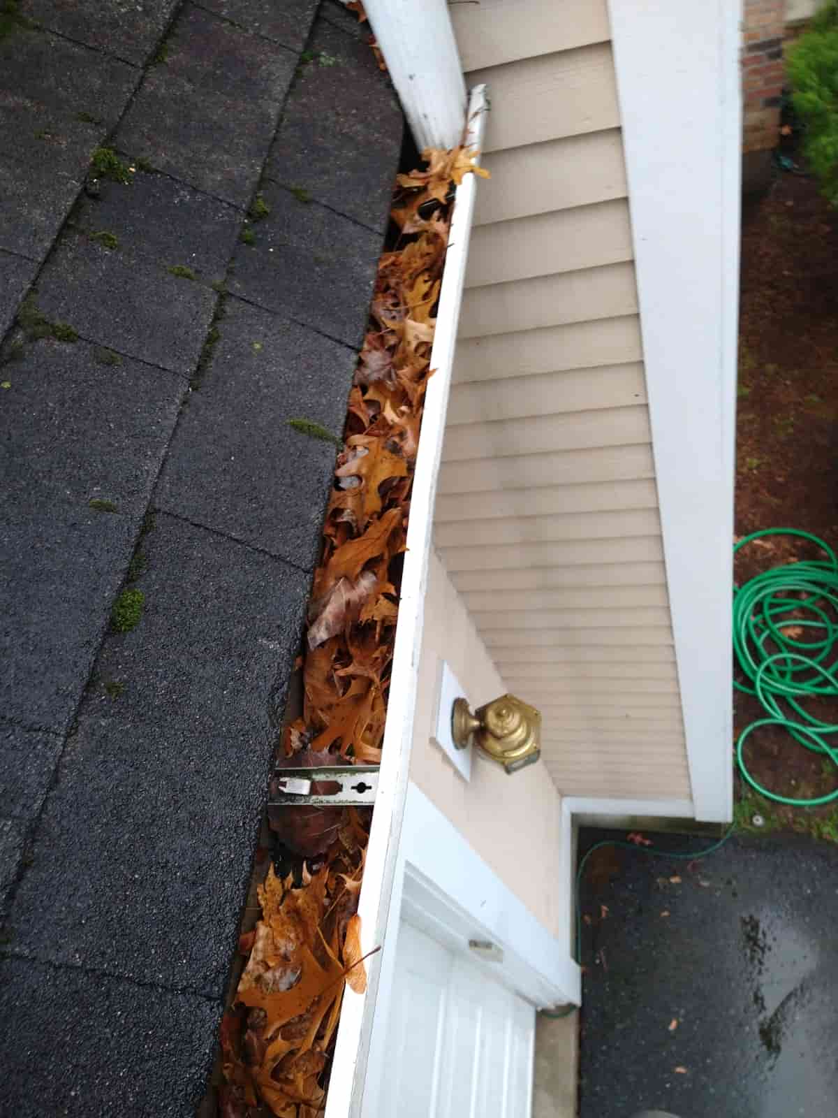 clogged gutters