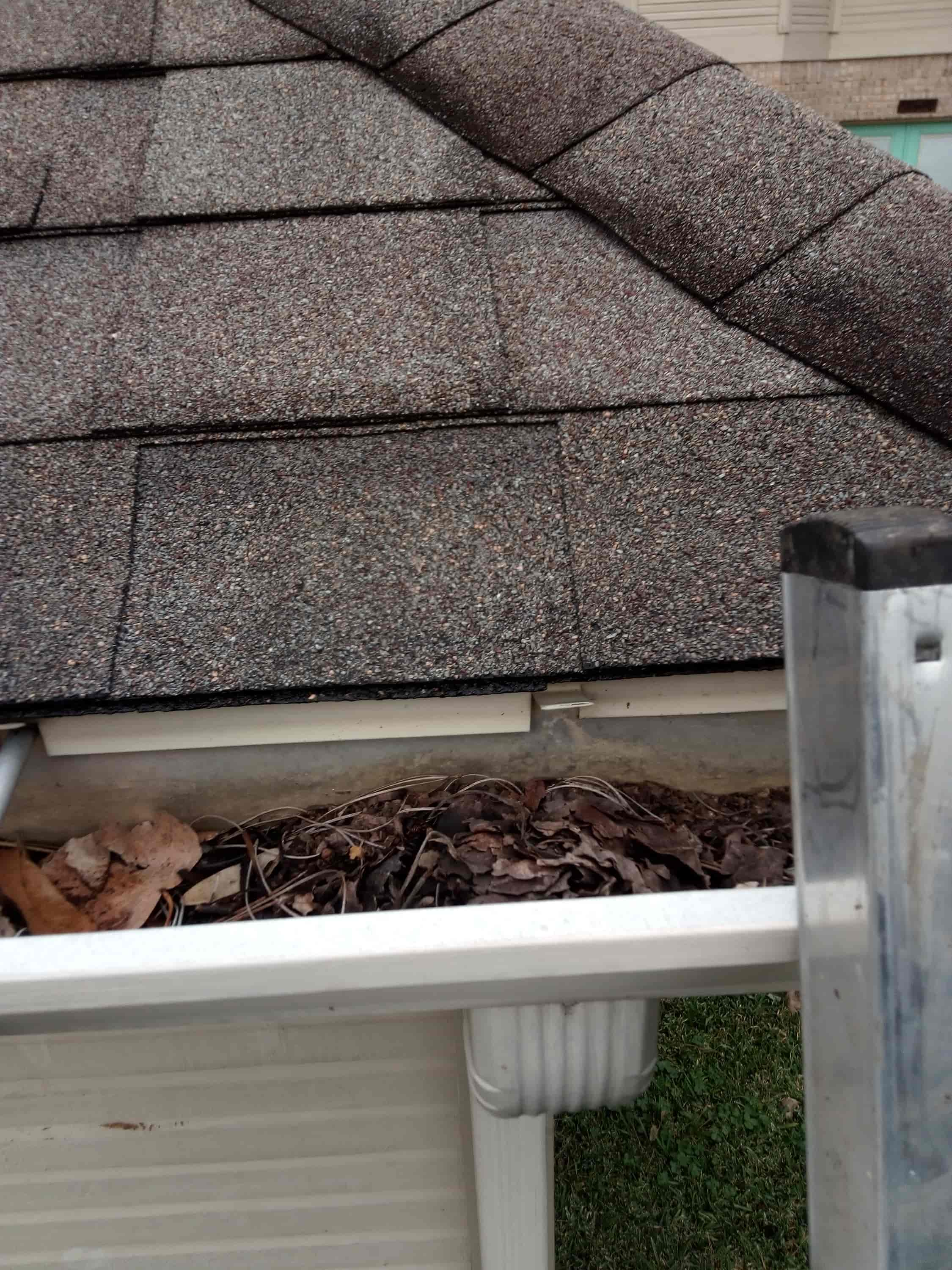 gutter and window cleaning