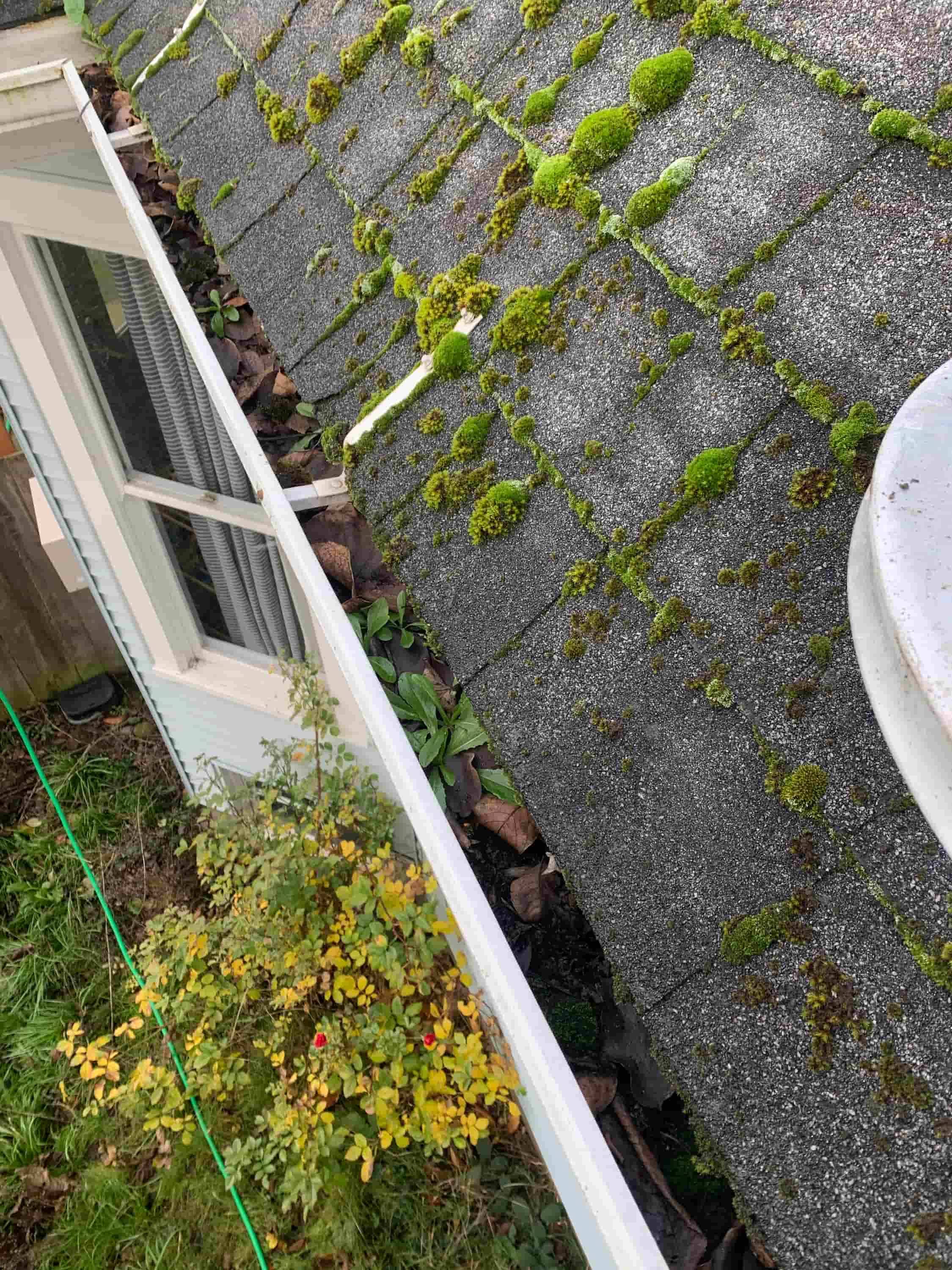 keep leaves out of gutters