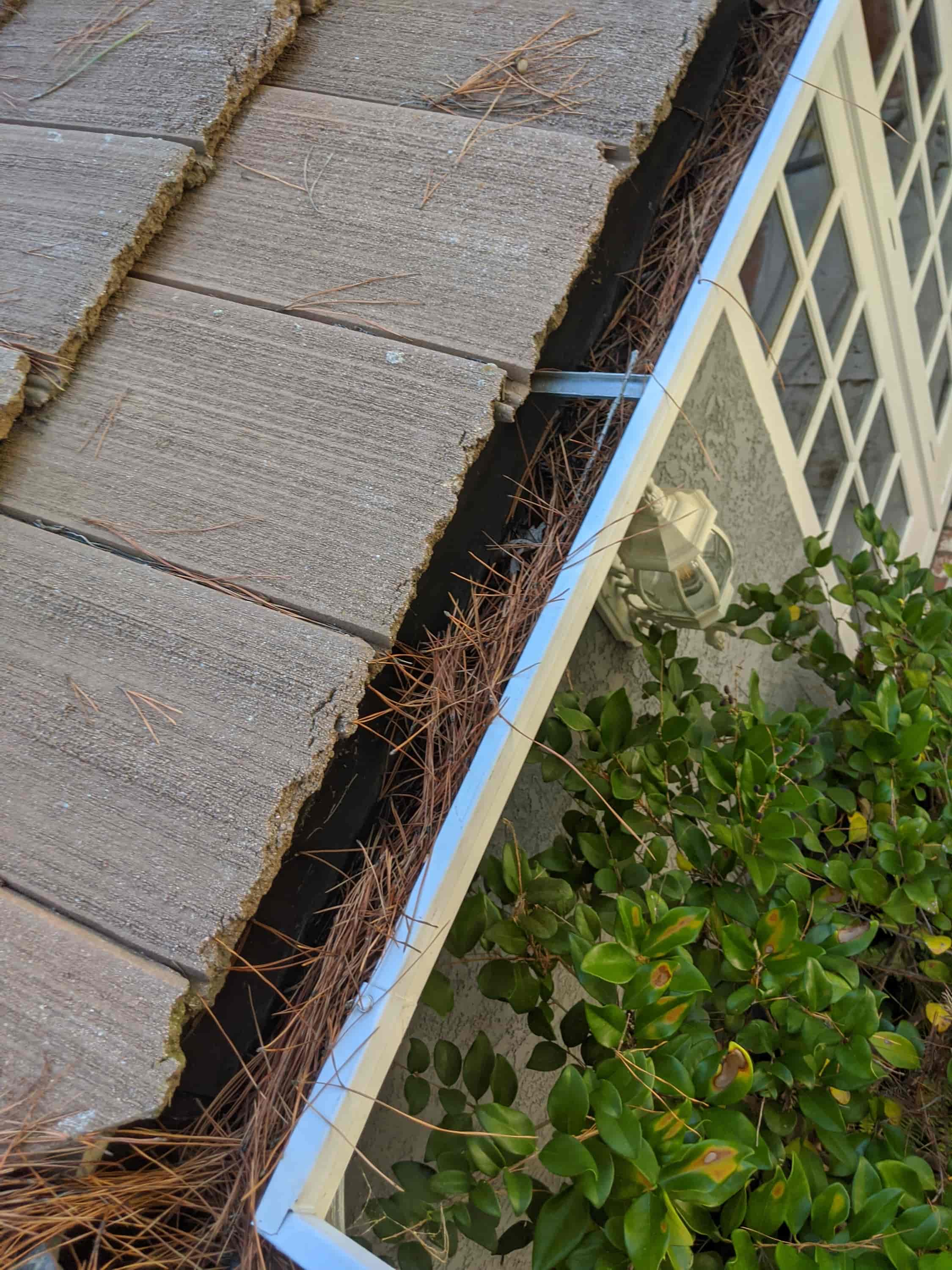 downspout cleanout