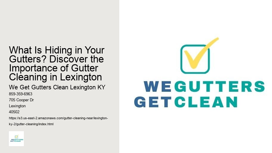 What Is Hiding in Your Gutters? Discover the Importance of Gutter Cleaning in Lexington