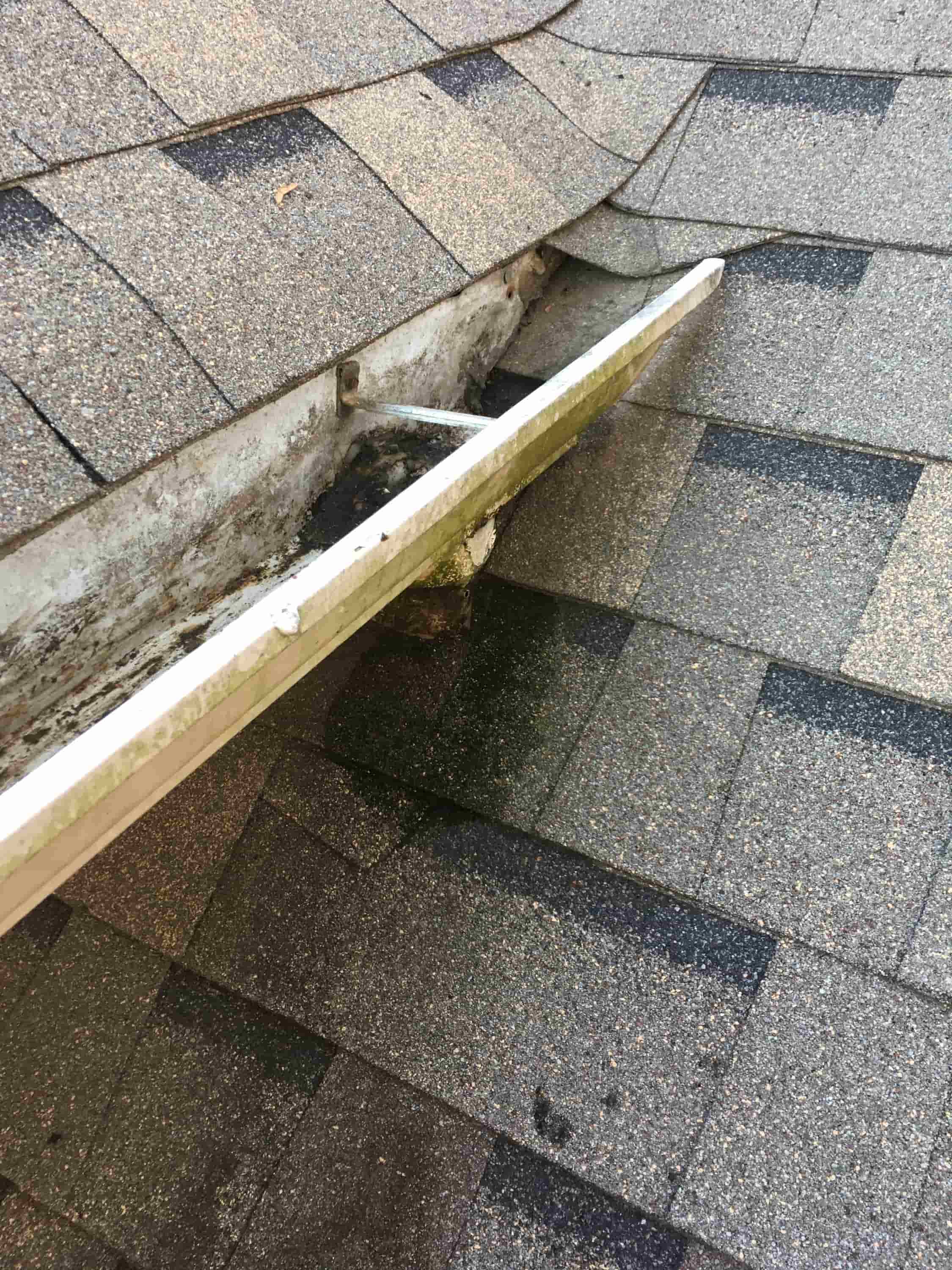 clogged rain gutter downspout
