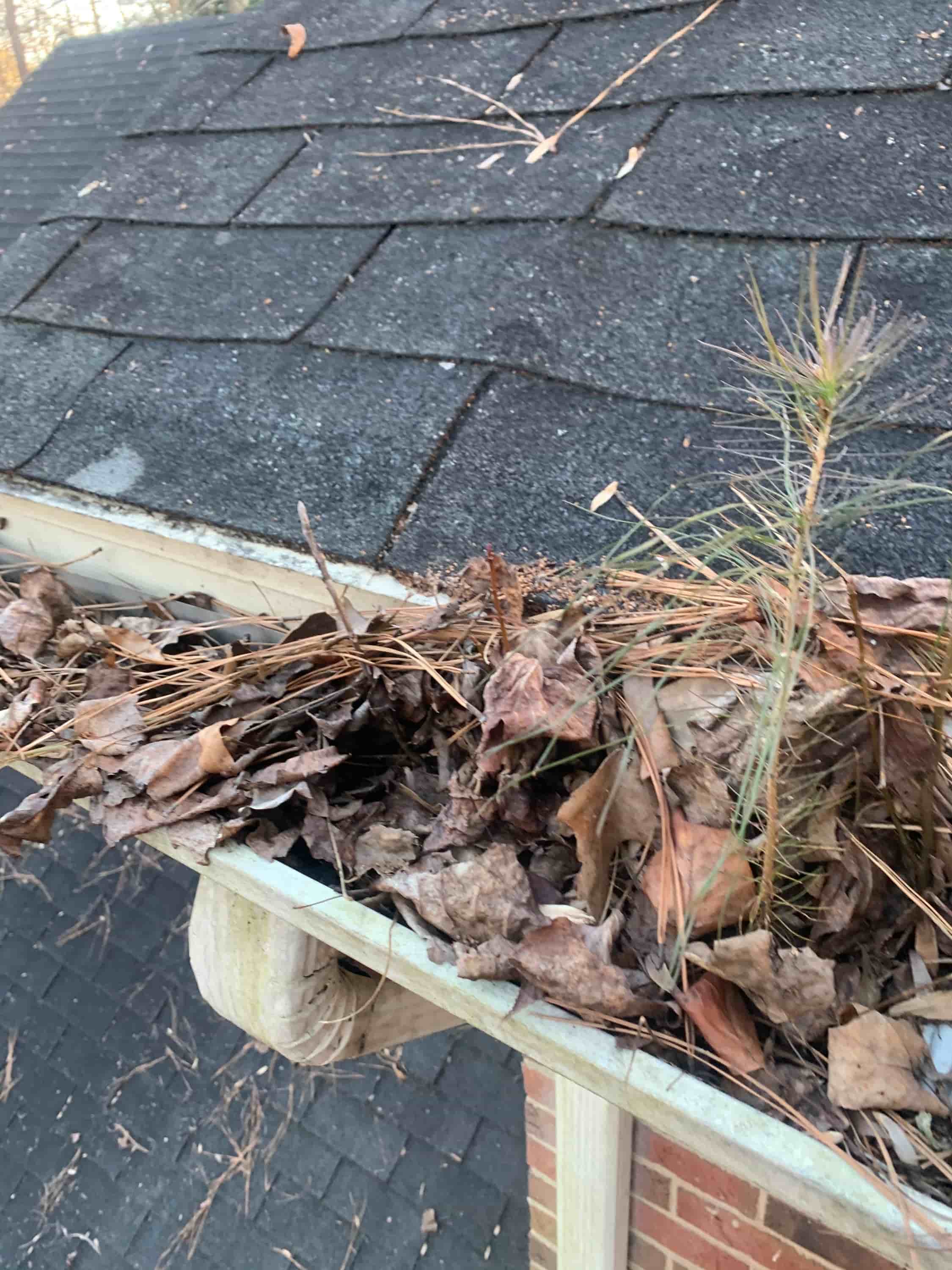 gutter cleaning and roofing services