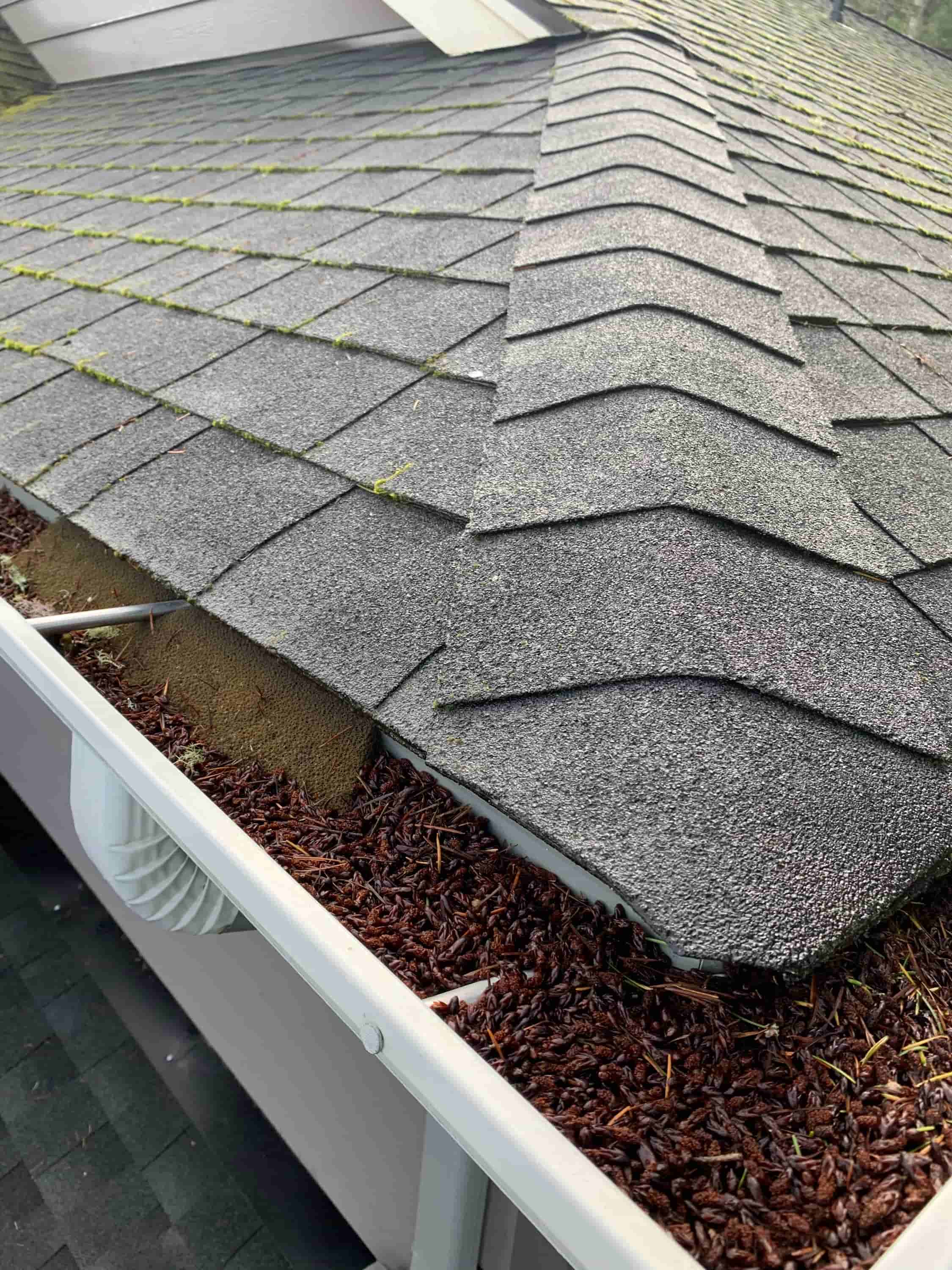 rain gutter scoop