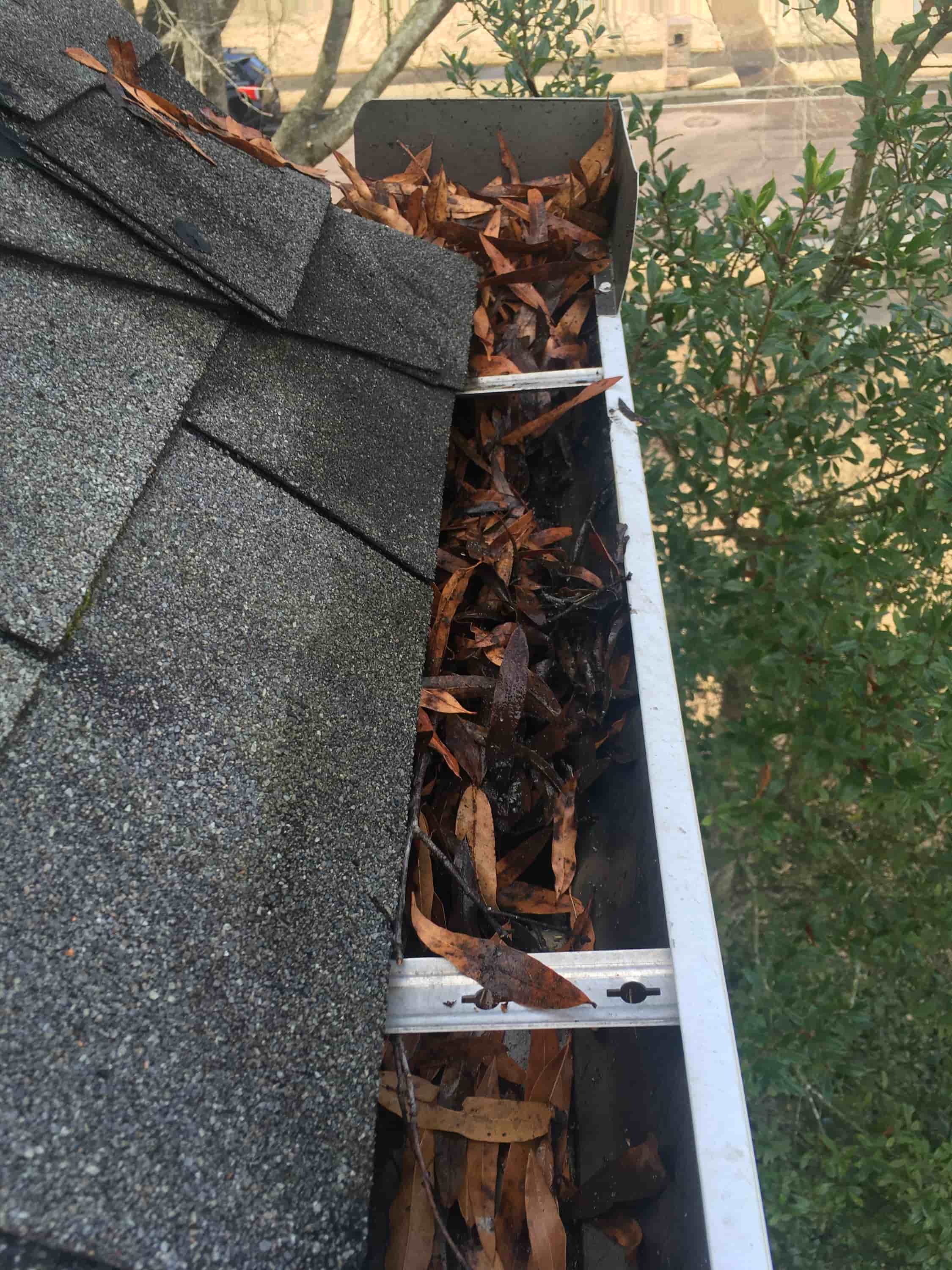 clean gutters from ground level