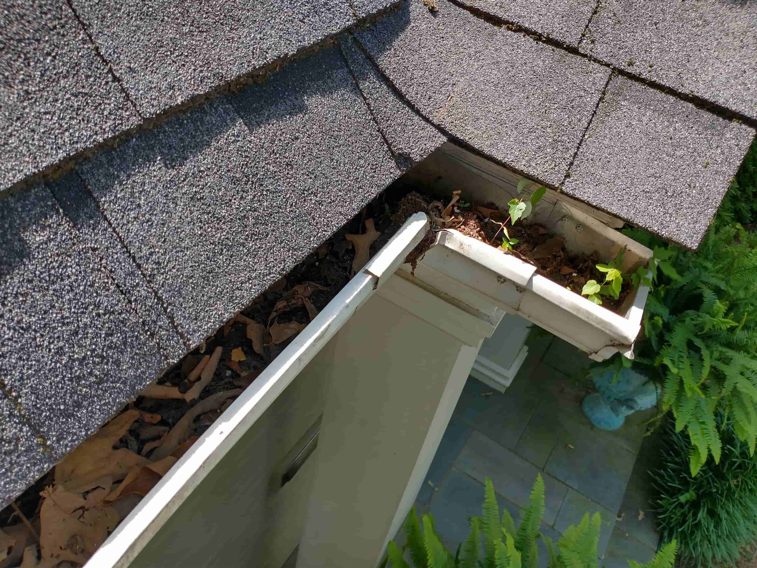 unclog gutter downspout