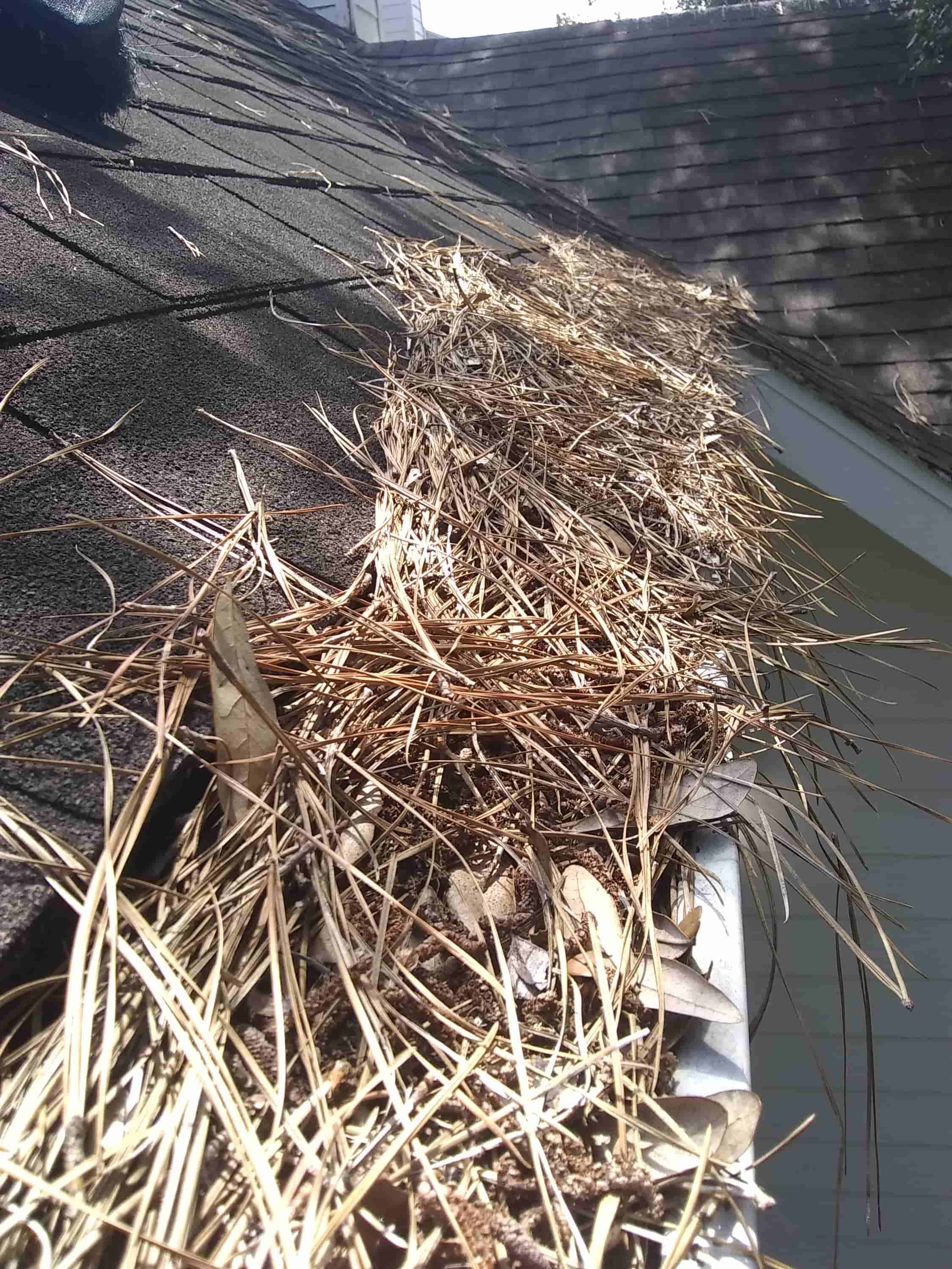 gutter cleaning and guards