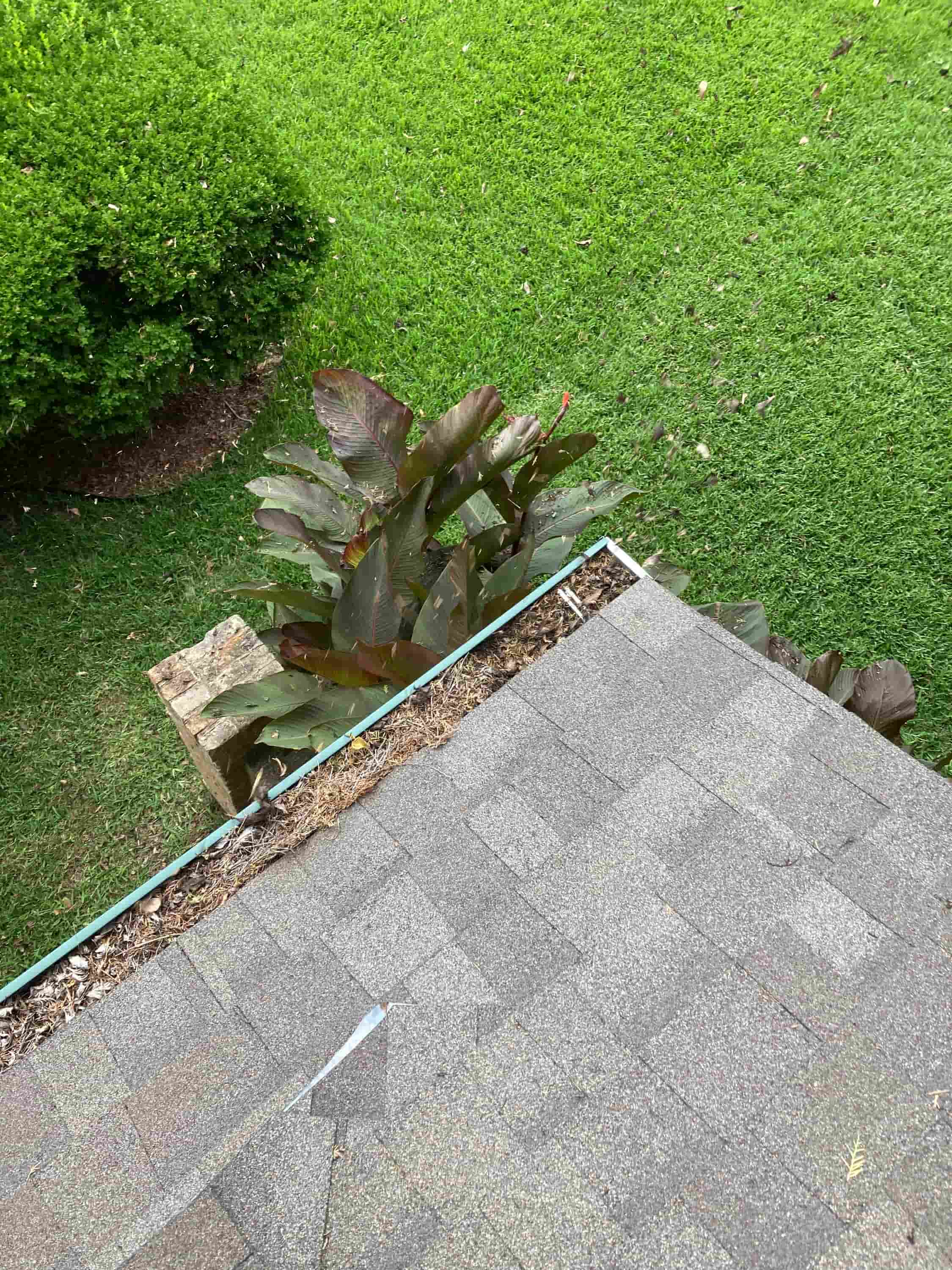 clean downspouts