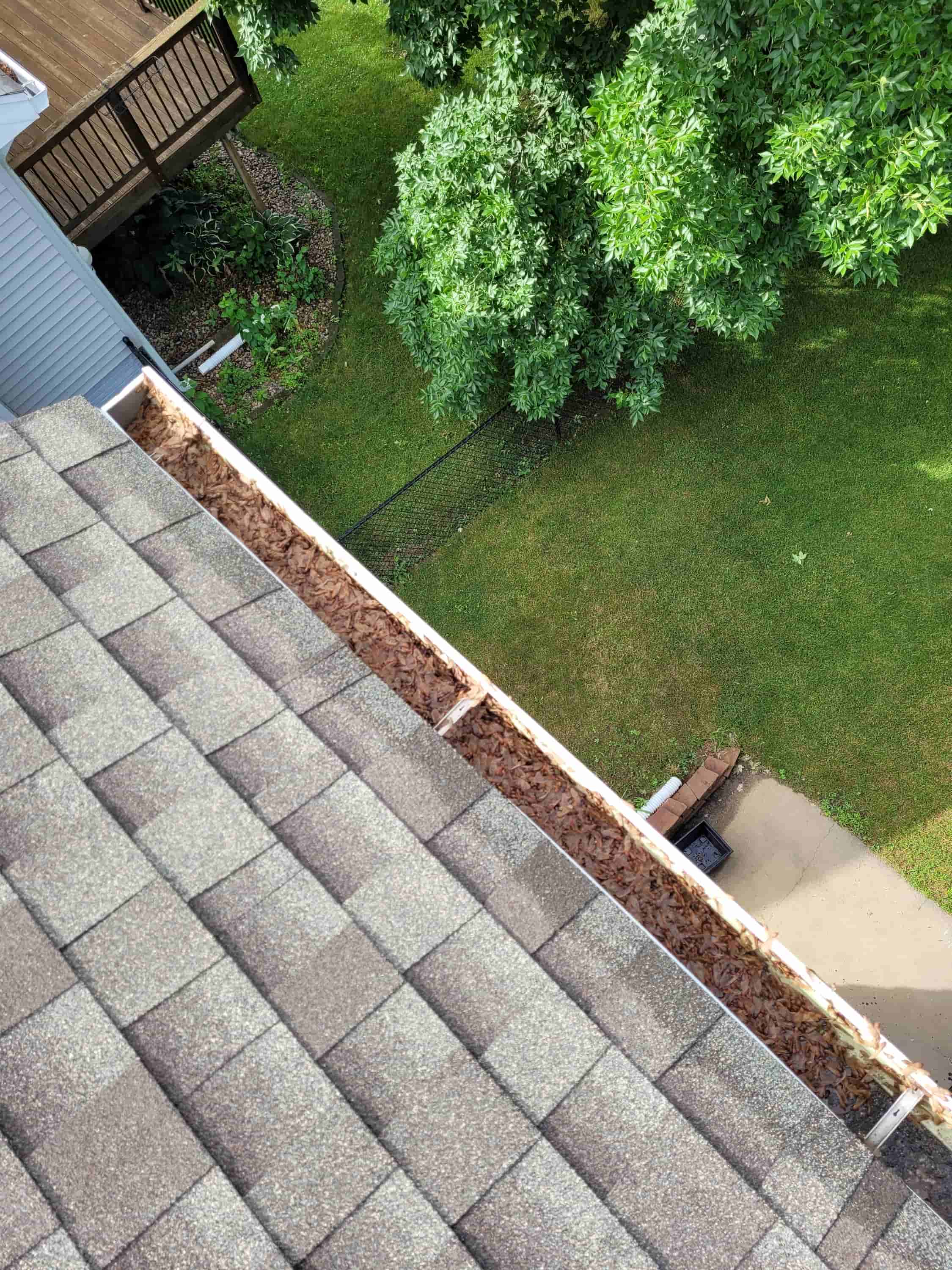 rain gutter cleaning services