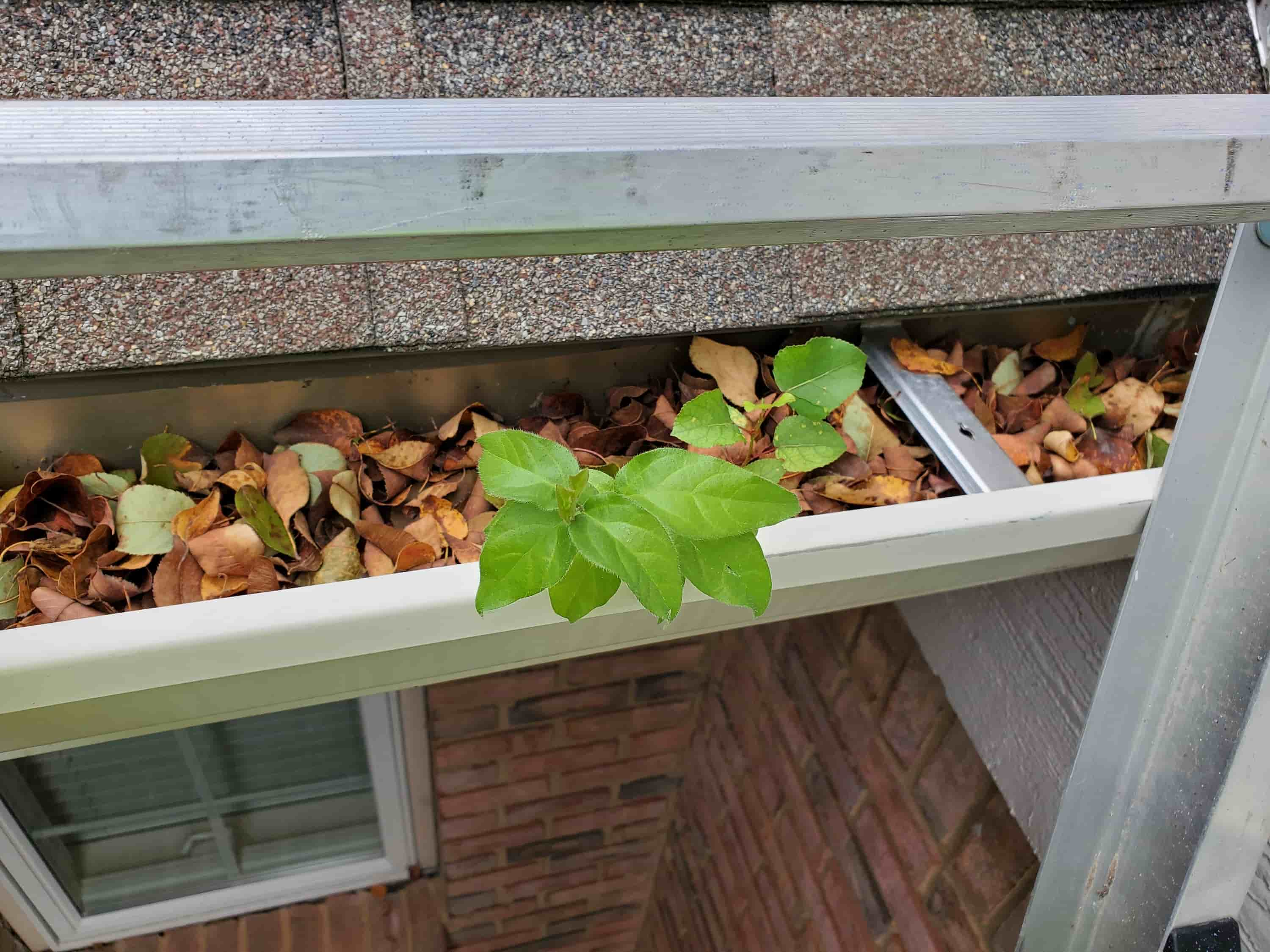 gutter cleaning with vacuum