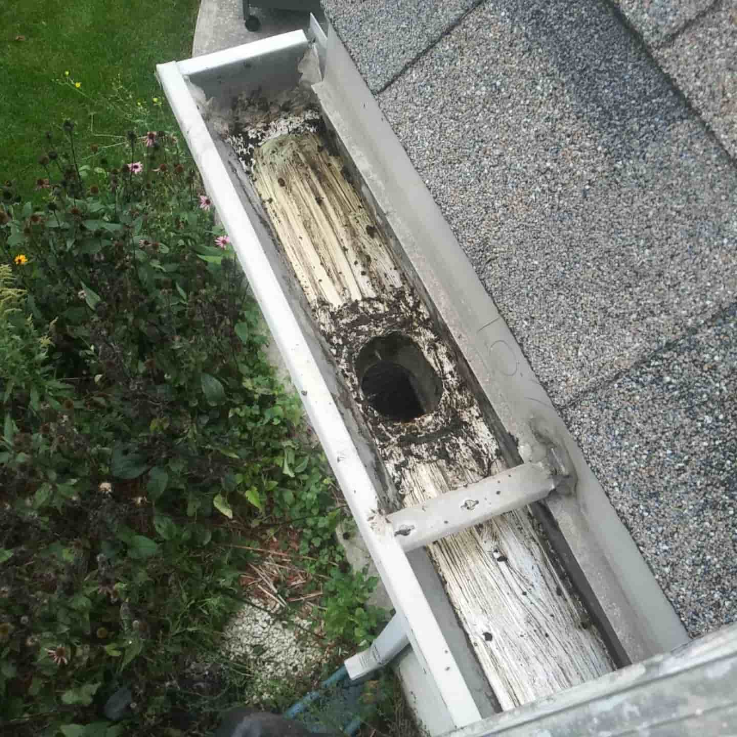 how often gutter cleaning