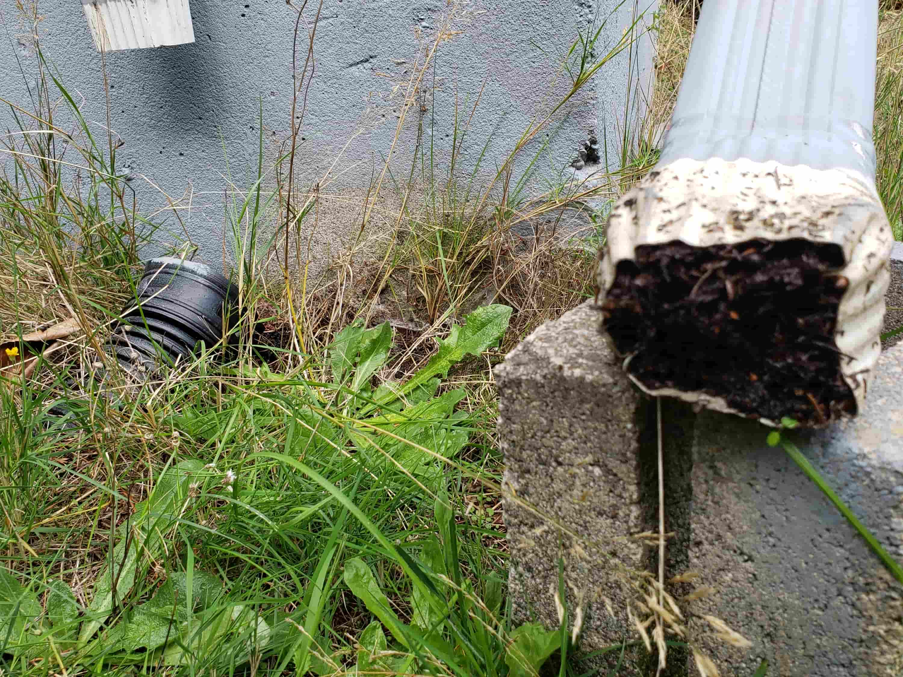 gutter cleaning with leaf blower