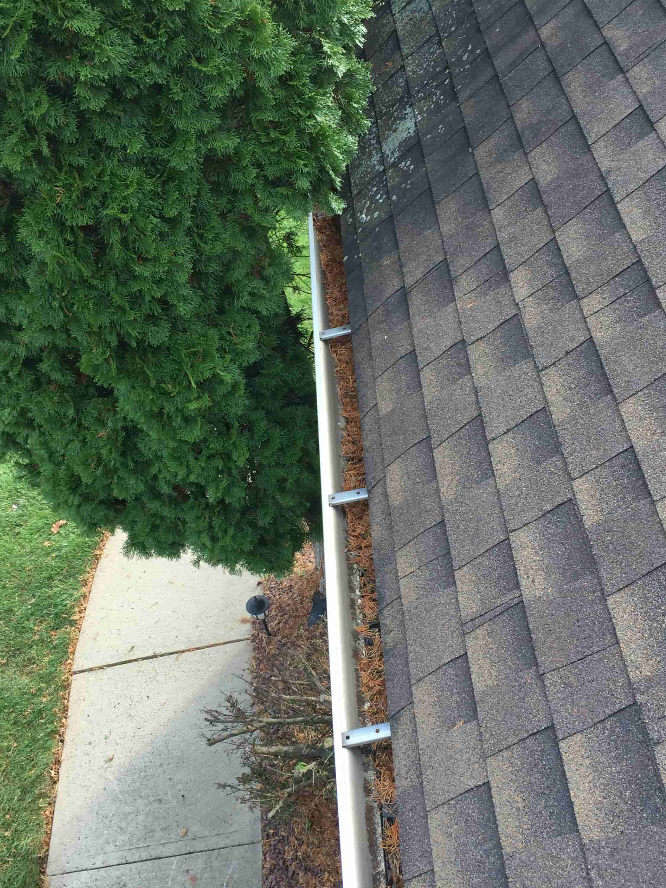 cleaning leaves from gutters