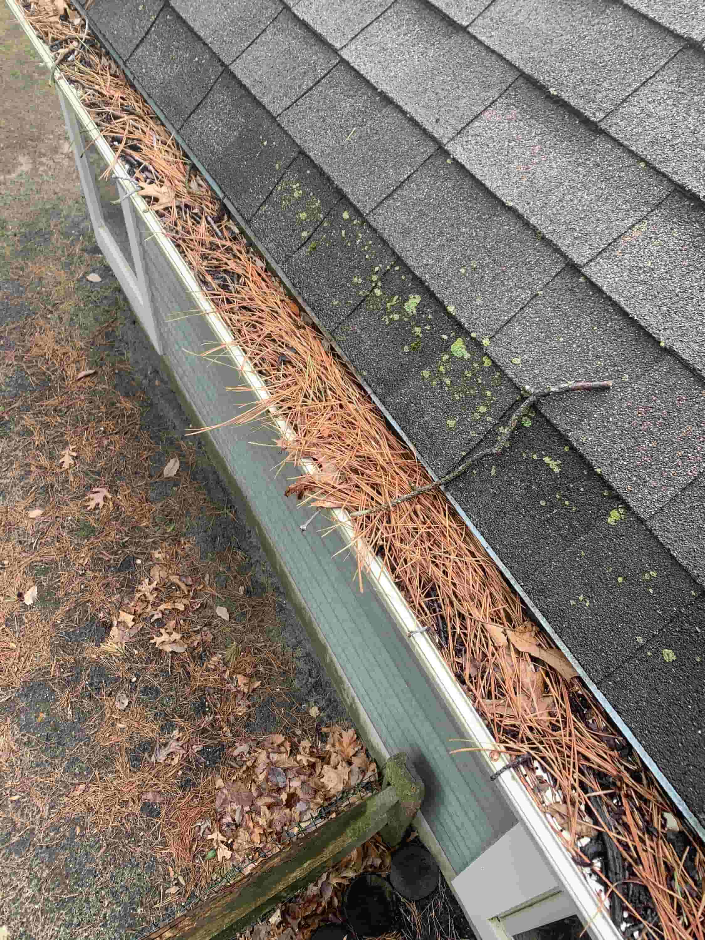 cleaning gutters from ground level