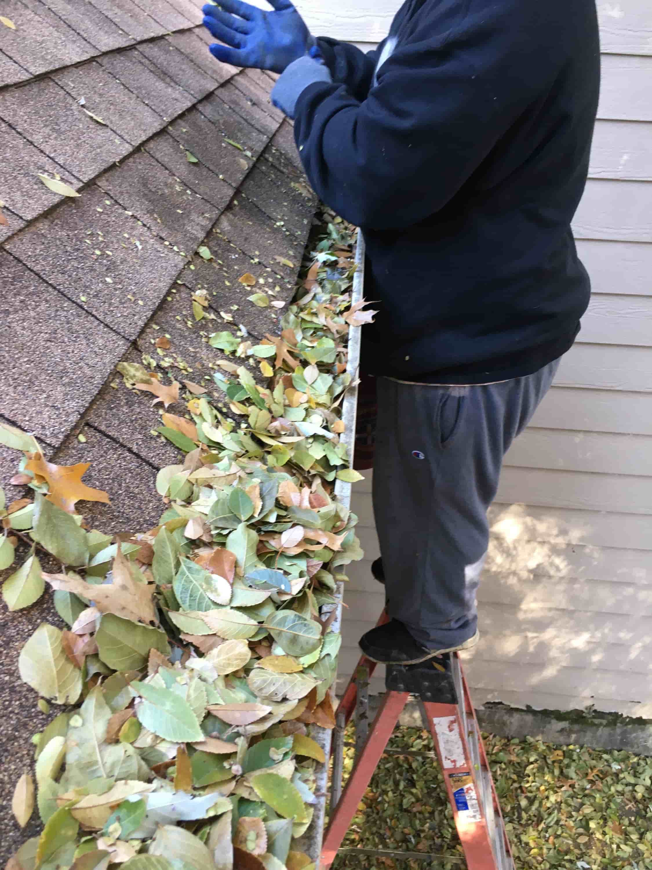 gutter cleaning in