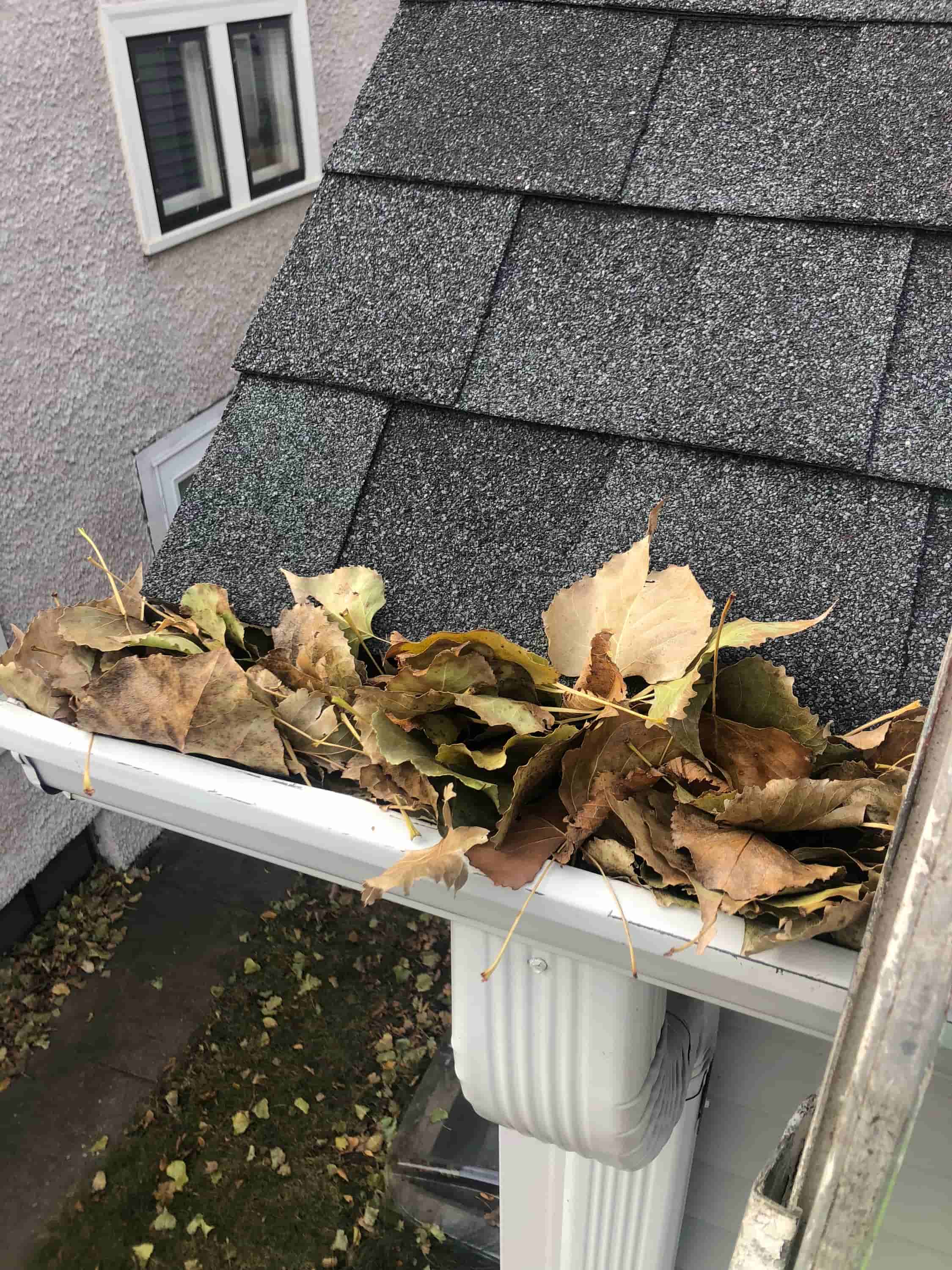gutter cleaning cost per metre