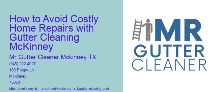 How to Avoid Costly Home Repairs with Gutter Cleaning McKinney
