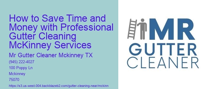 How to Save Time and Money with Professional Gutter Cleaning McKinney Services