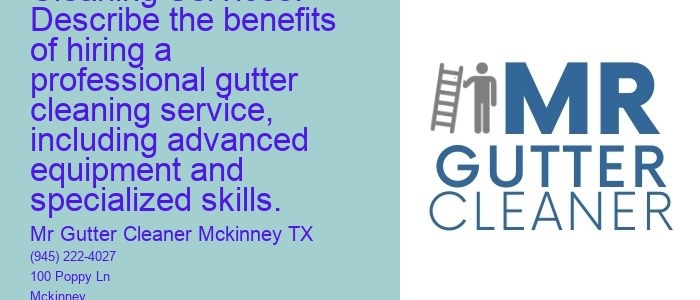 Professional Gutter Cleaning Services: Describe the benefits of hiring a professional gutter cleaning service, including advanced equipment and specialized skills.