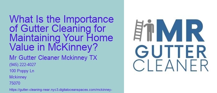 What Is the Importance of Gutter Cleaning for Maintaining Your Home Value in McKinney?