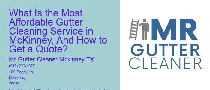 What Is the Most Affordable Gutter Cleaning Service in McKinney, And How to Get a Quote?