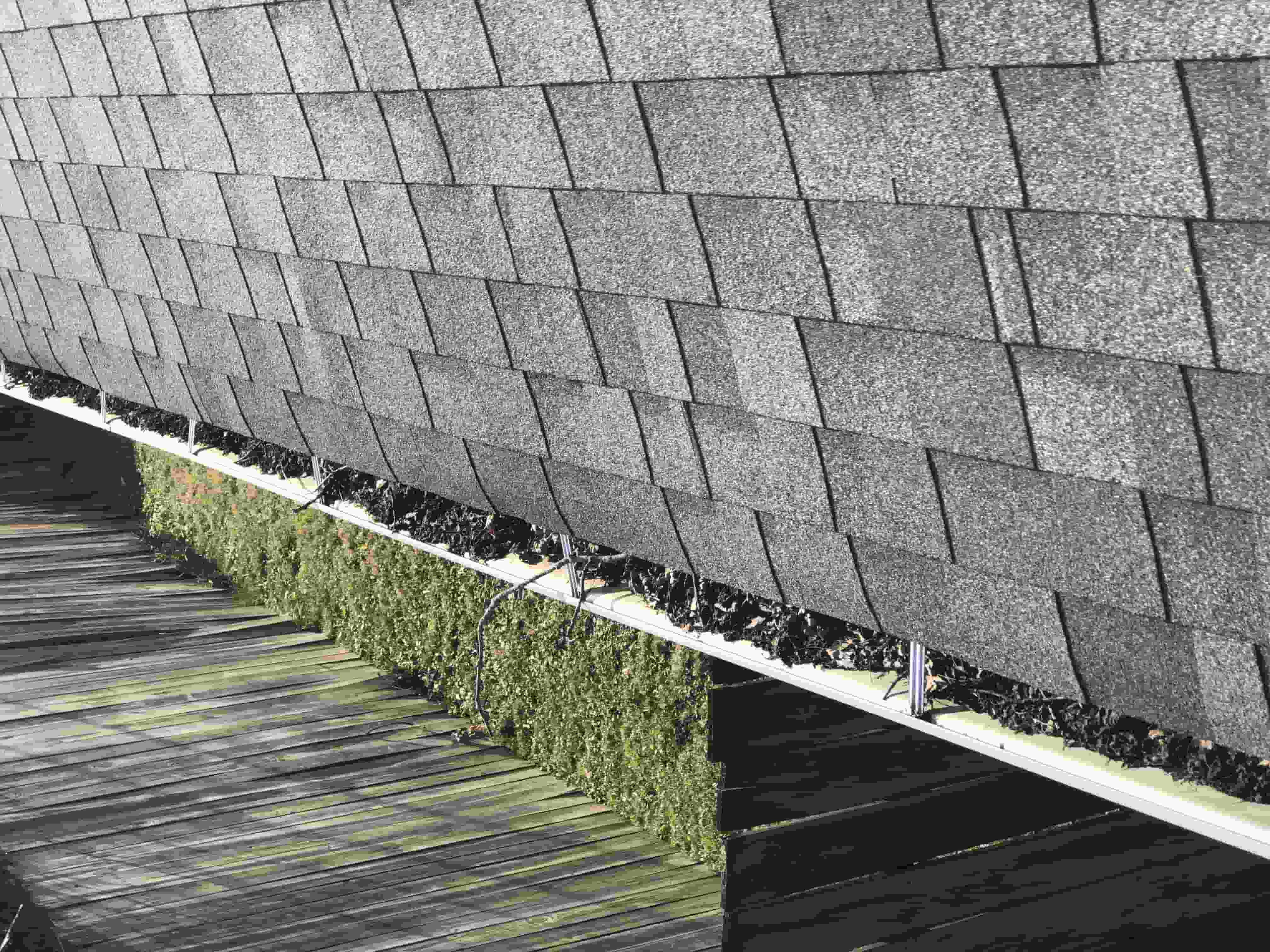 gutter cleaning downspouts