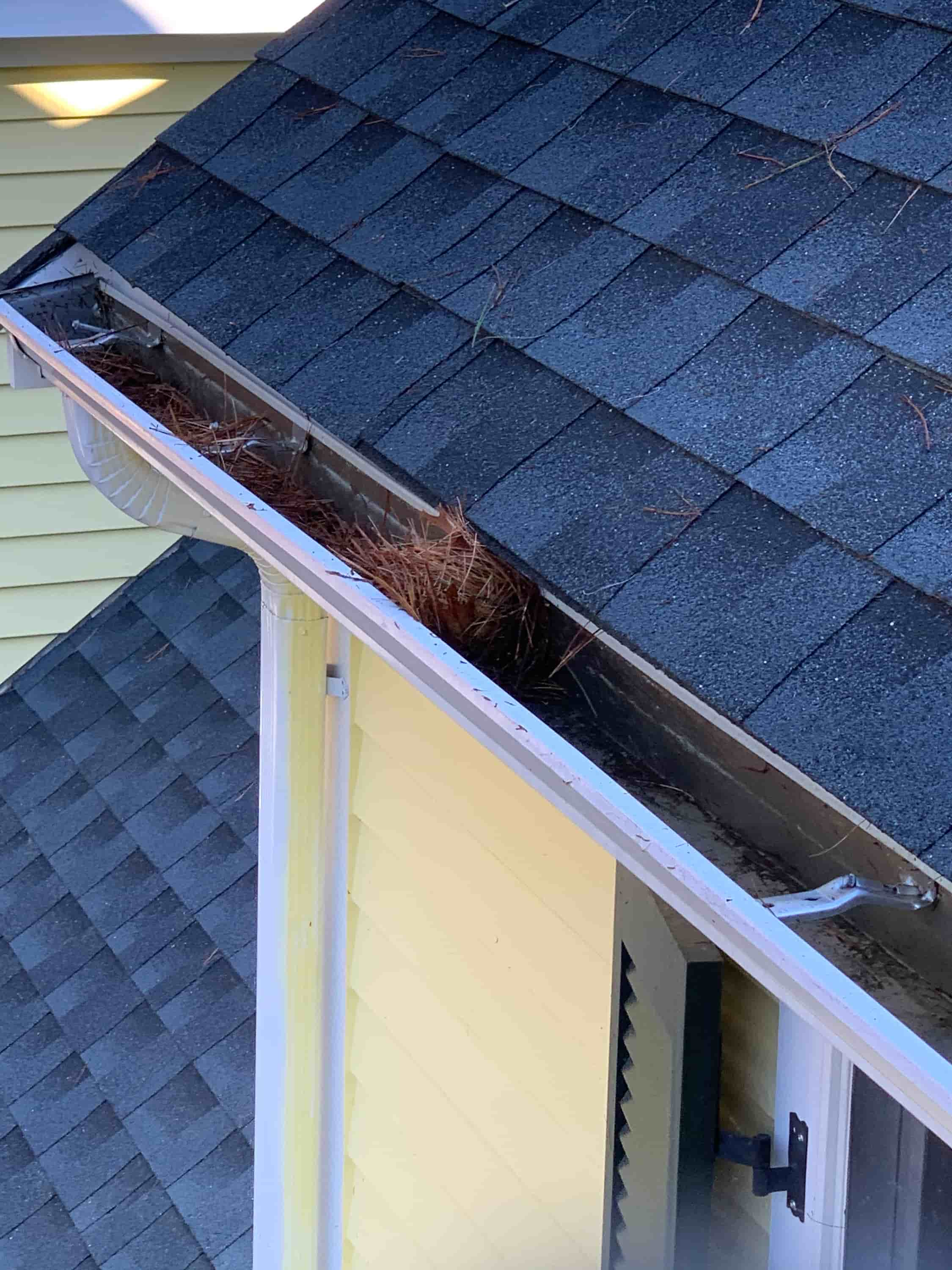 is gutter cleaning a good business