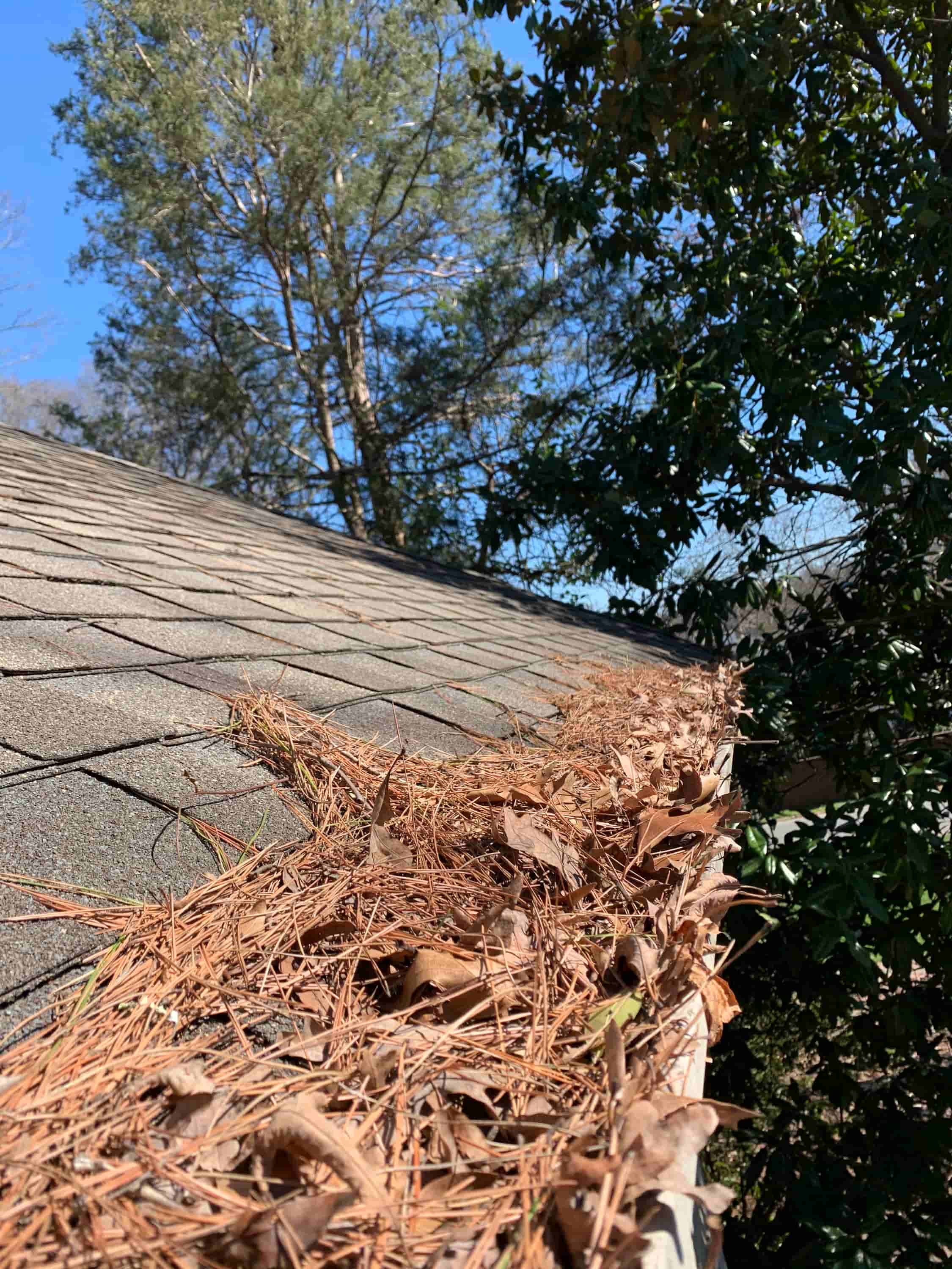 cleaning vinyl gutters