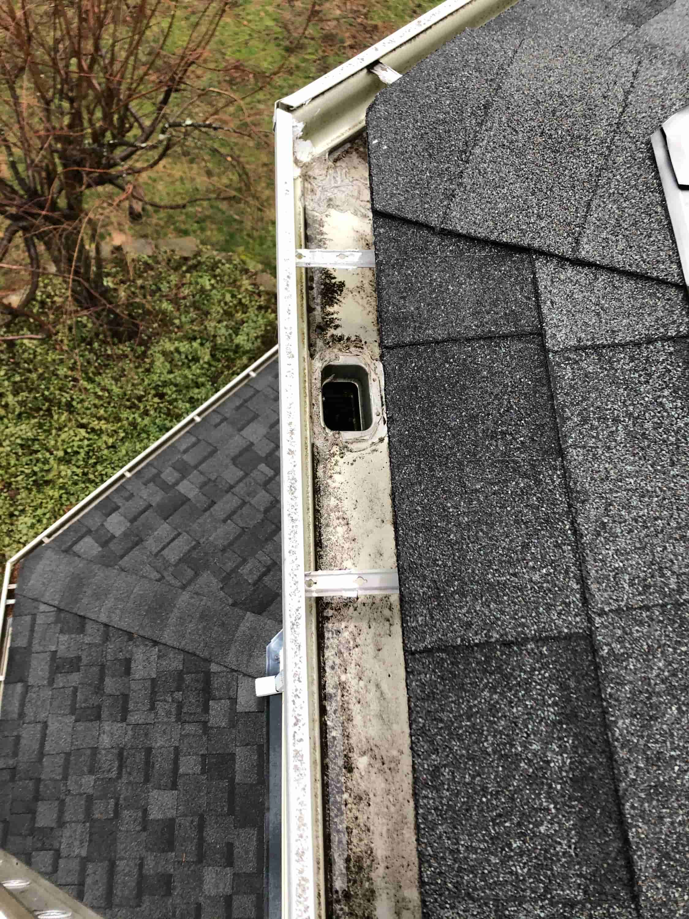 how much to get gutters cleaned