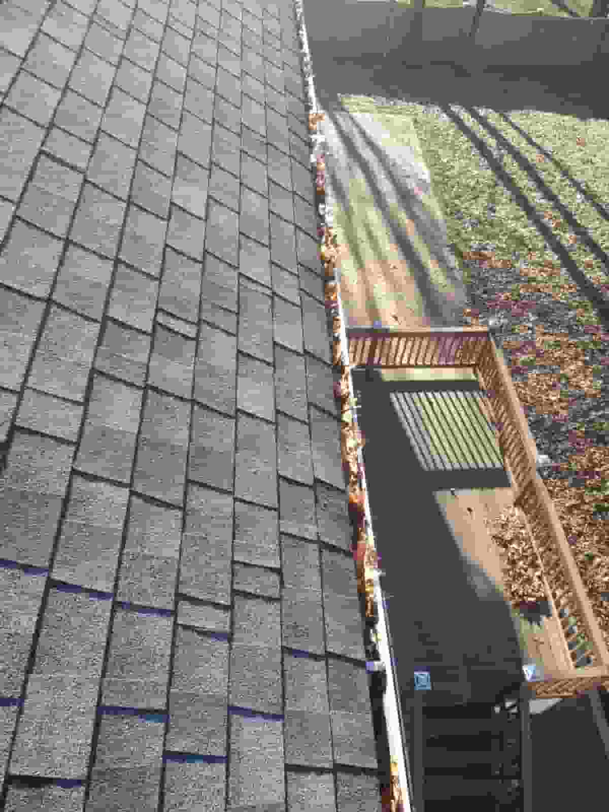 gutter cleaning and roof repair