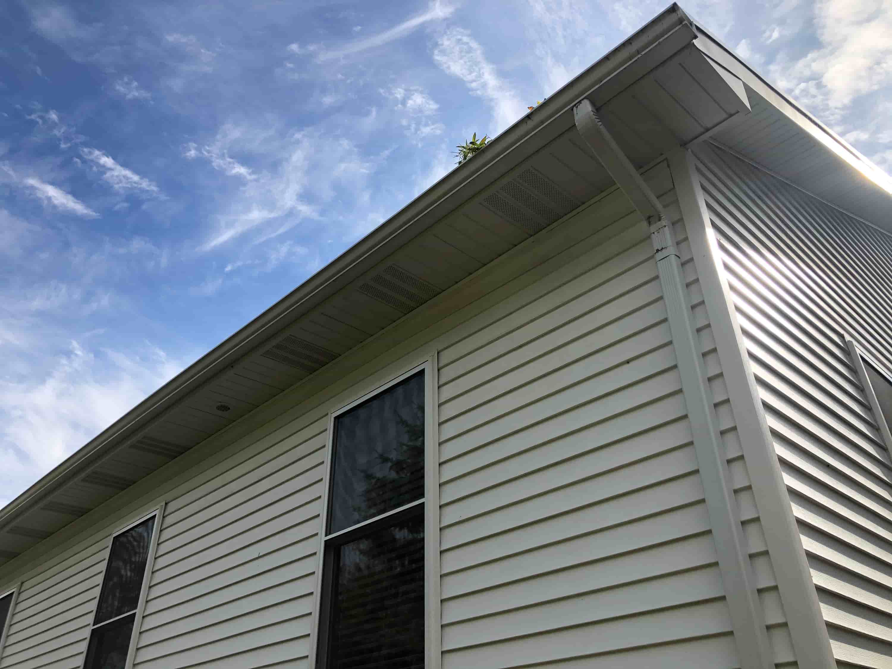 tall tree gutter cleaning