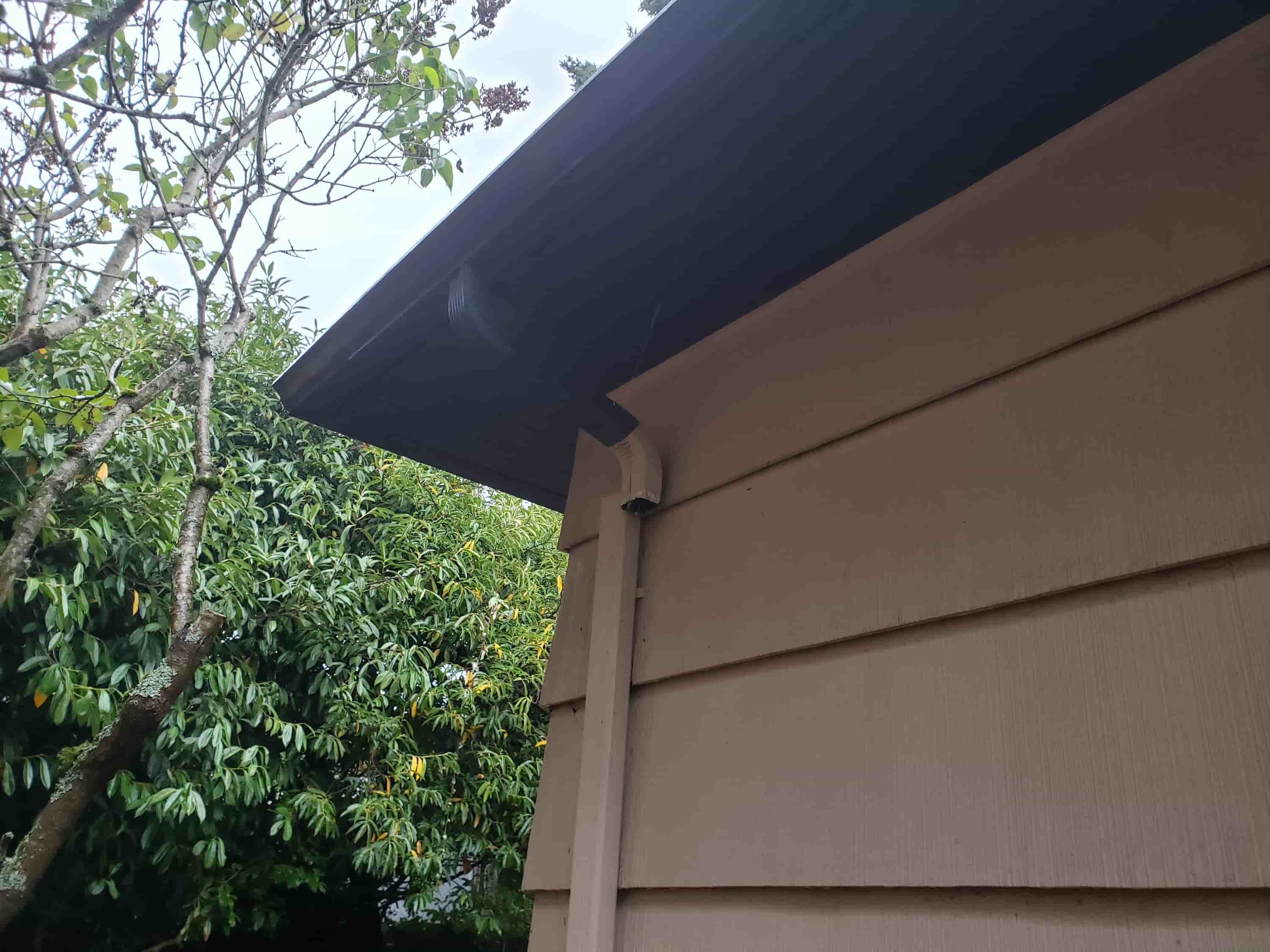 any gutter cleaned